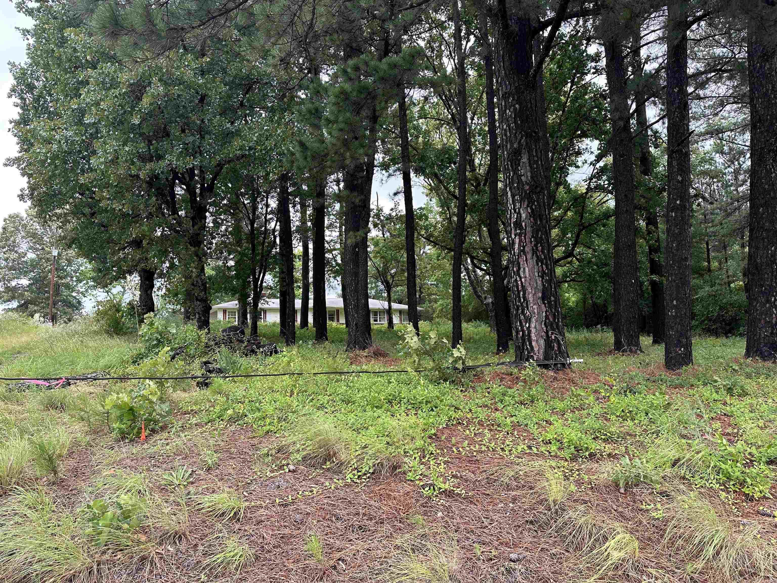 3232 W Highway 36 Property Photo 23