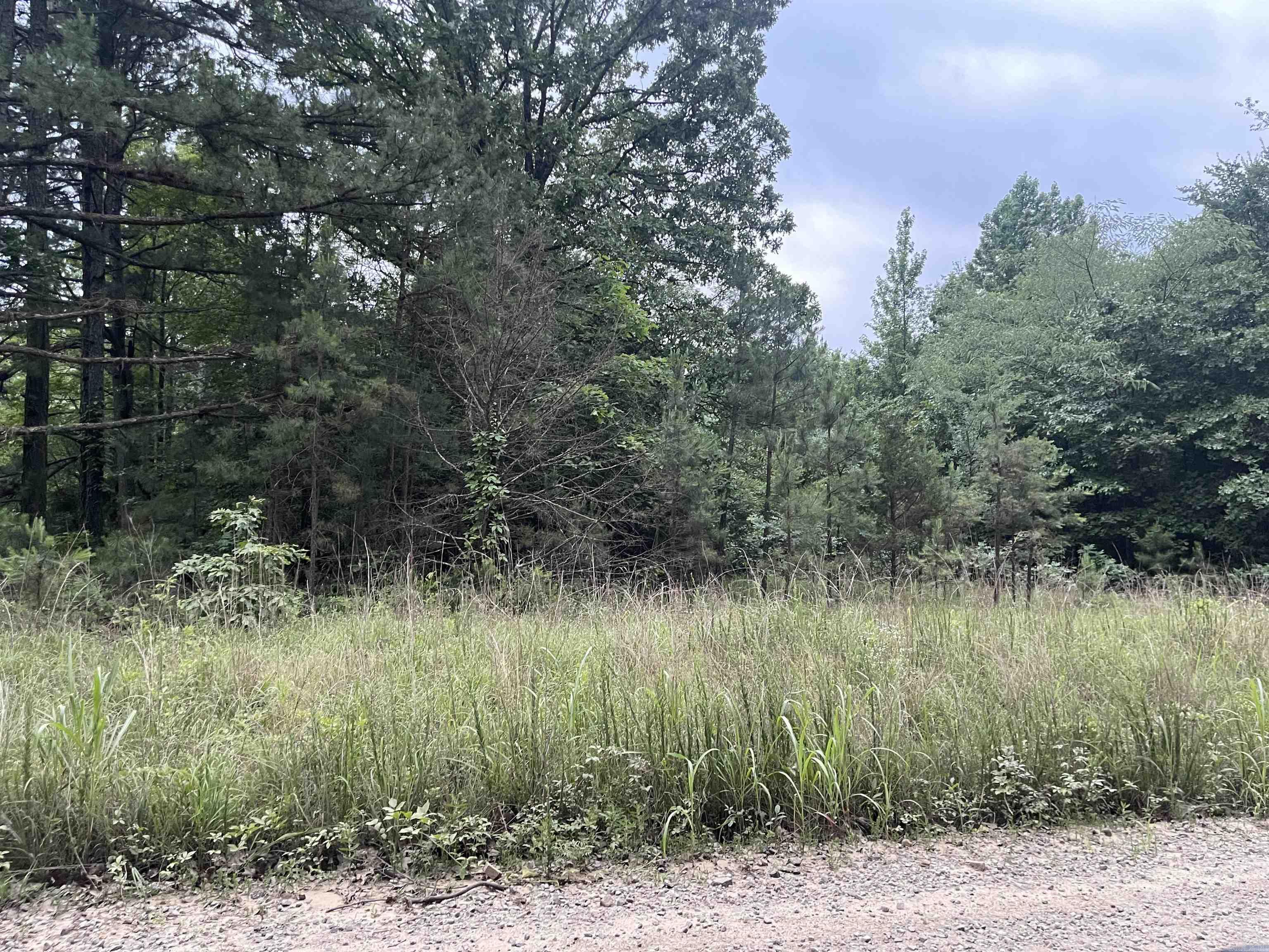 000 Mt Olive Property Photo 3