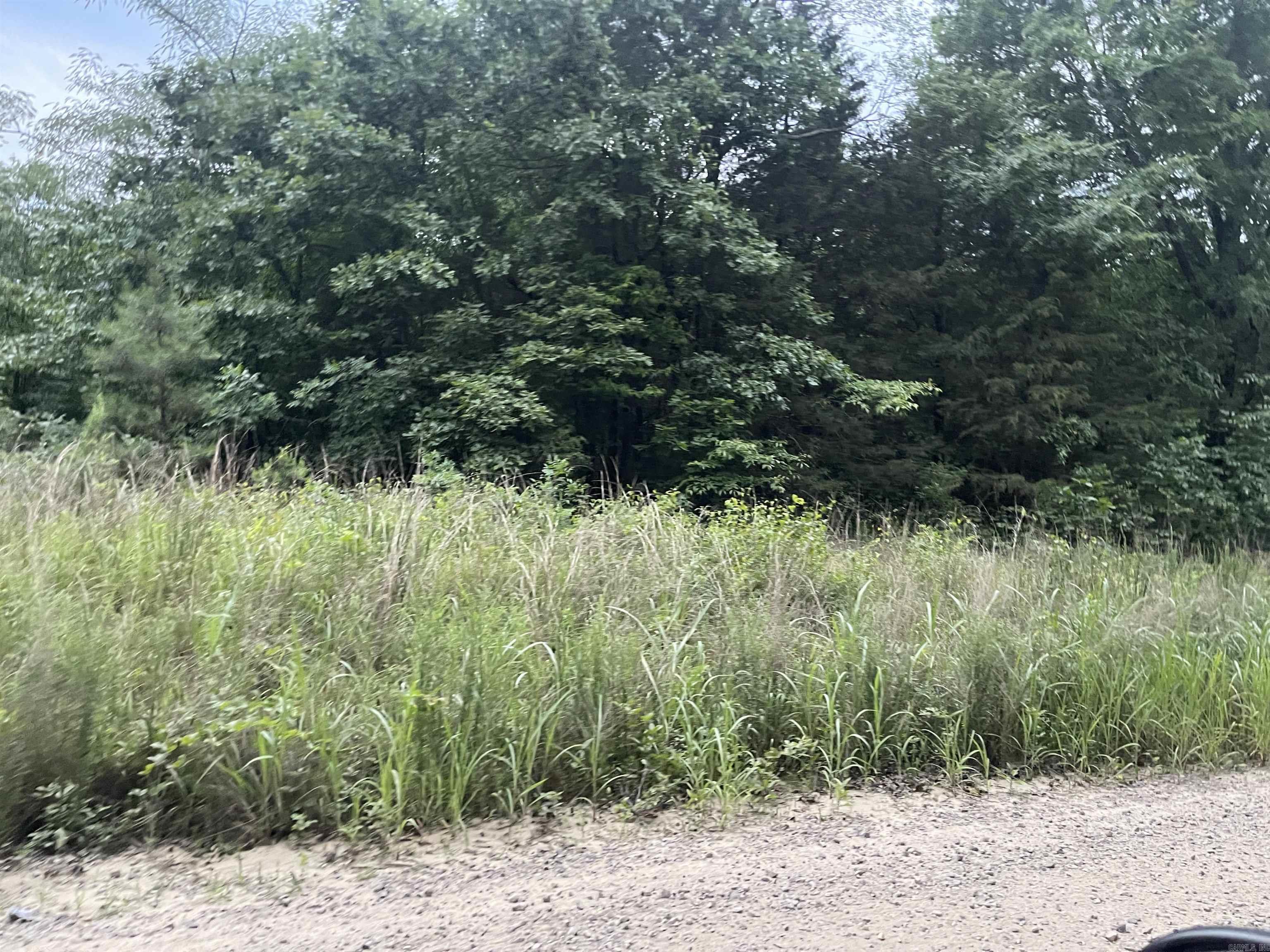000 Mt Olive Property Photo 4