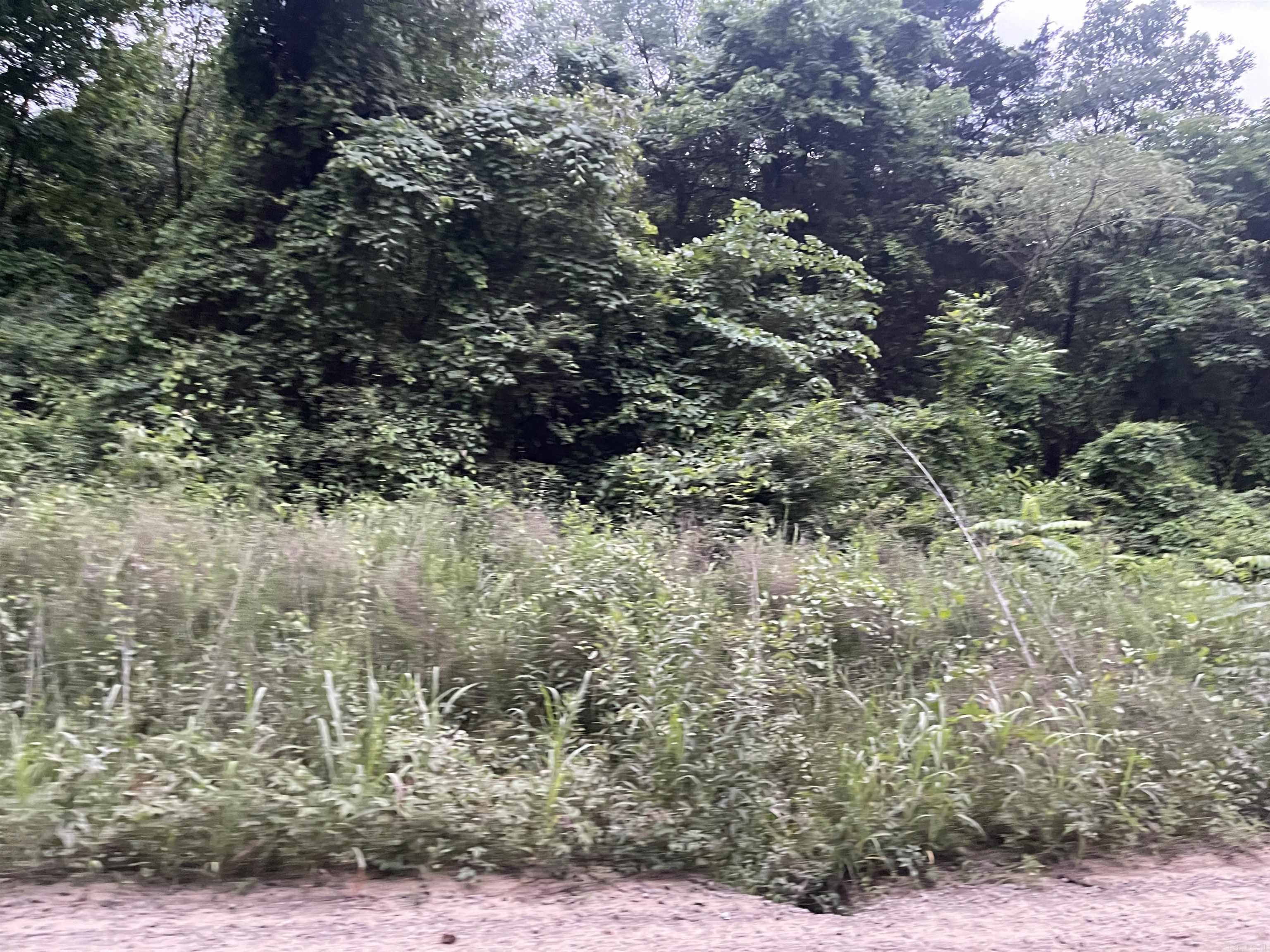 000 Mt Olive Property Photo 8