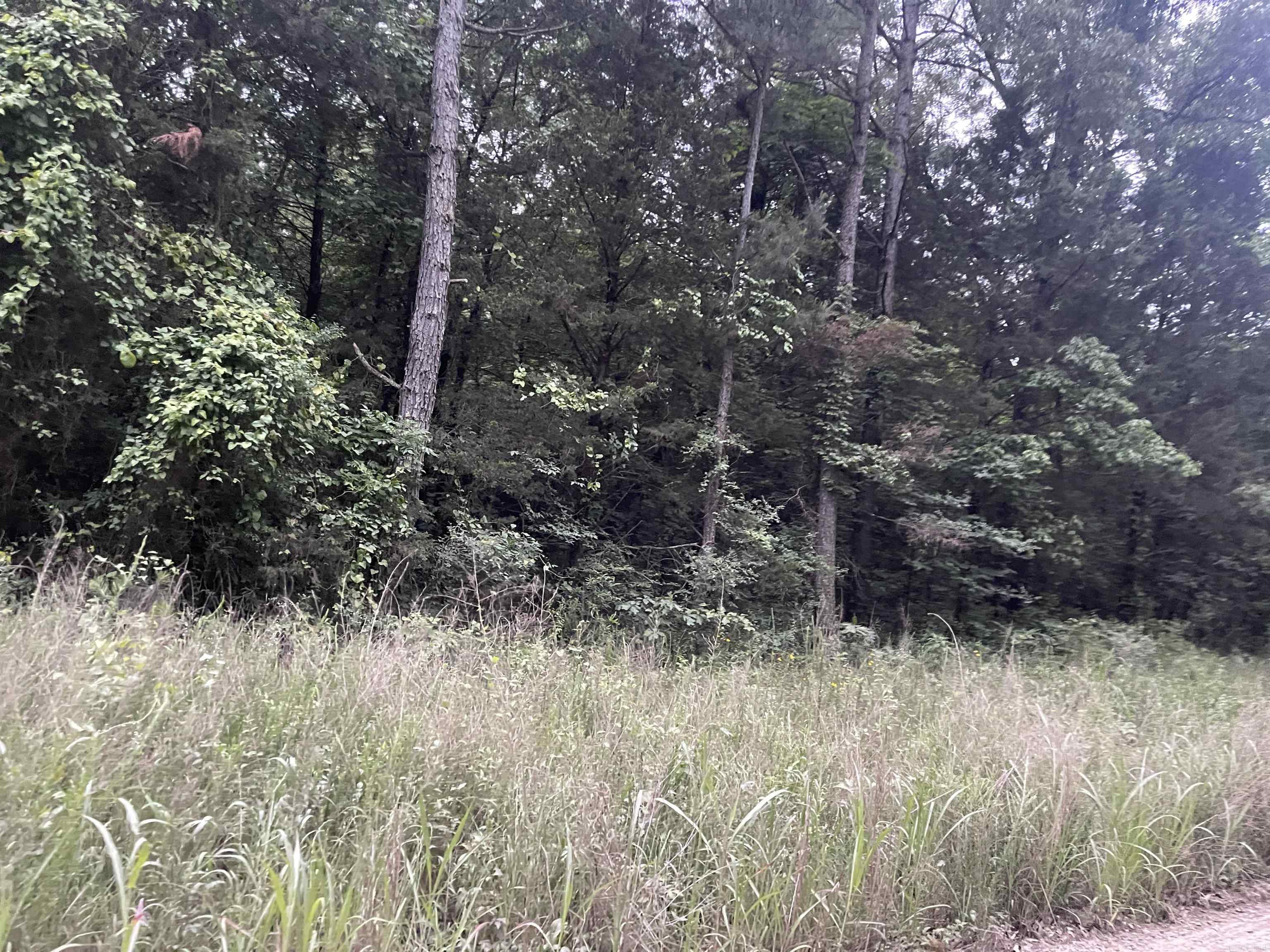 000 Mt Olive Property Photo 10