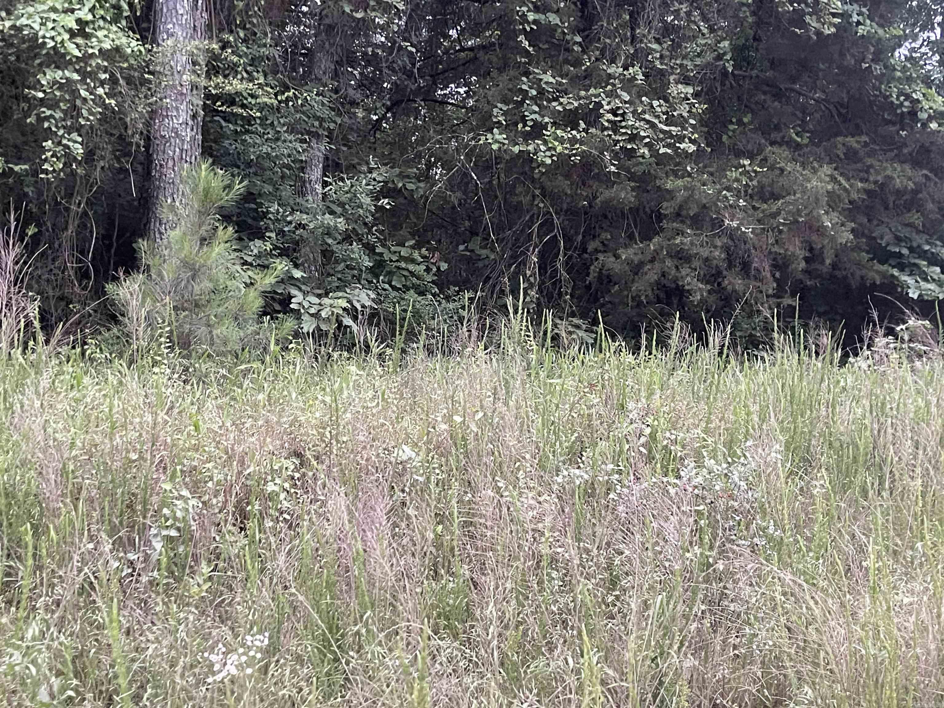 000 Mt Olive Property Photo 15