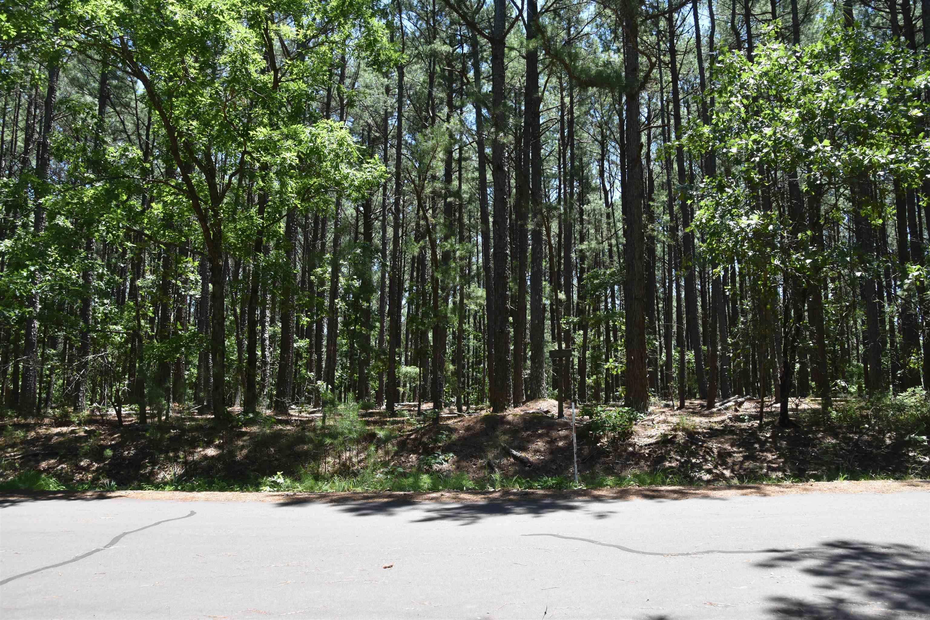 Lot 2 Mandarina Way