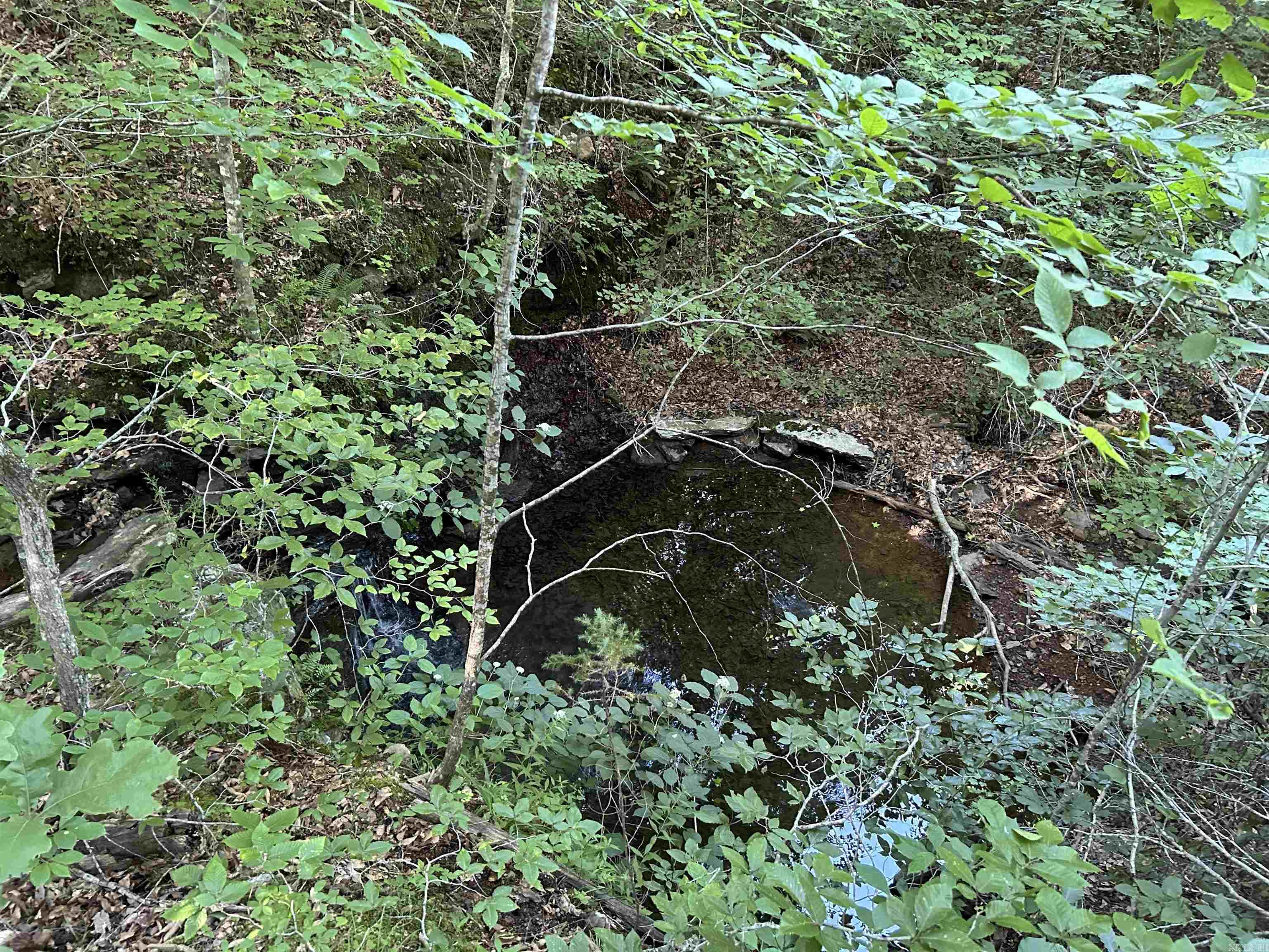 2325 Six Ridge Road Property Photo 17