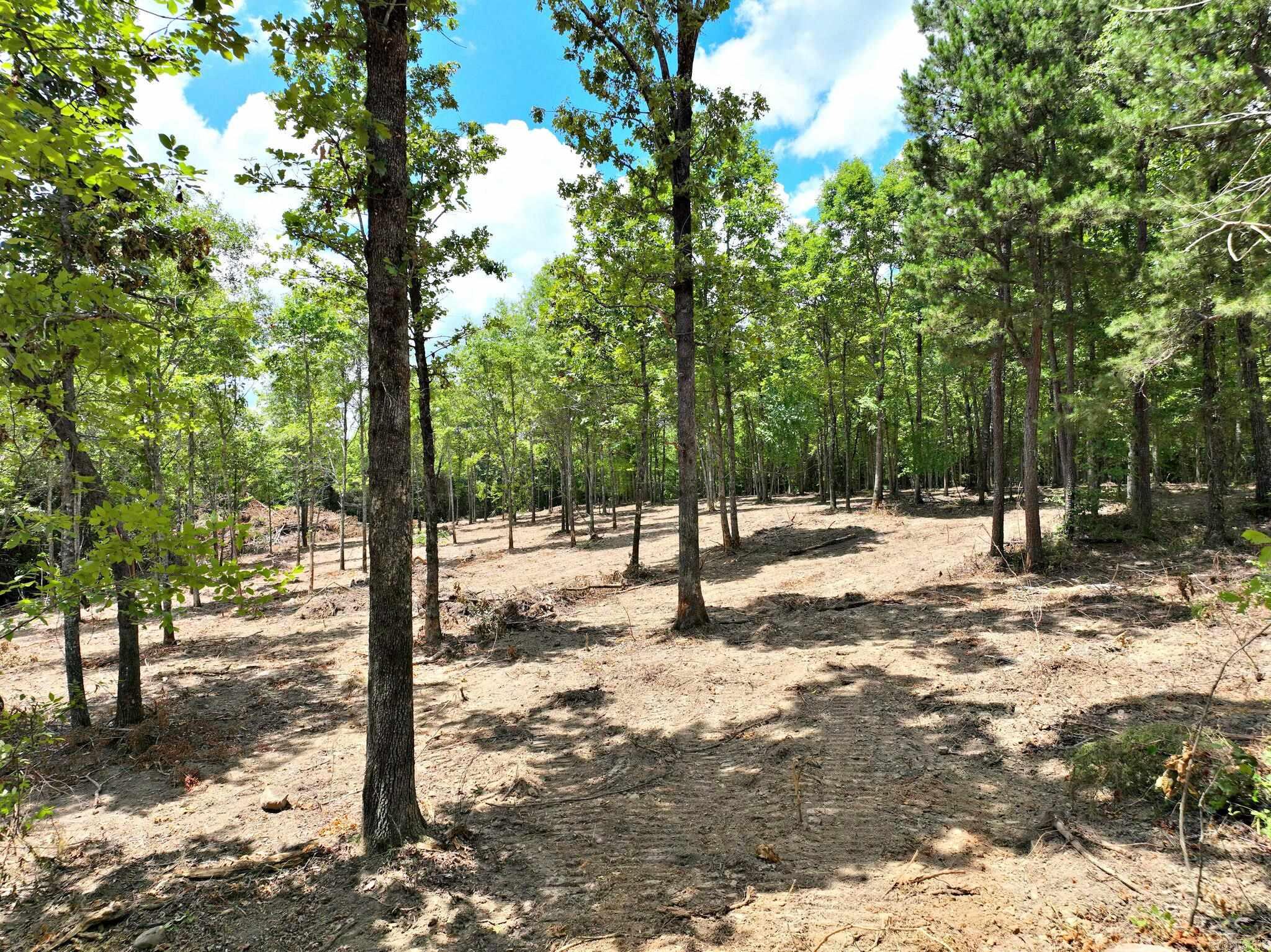Tbd, Tract 4 Polk Road 158 Property Photo
