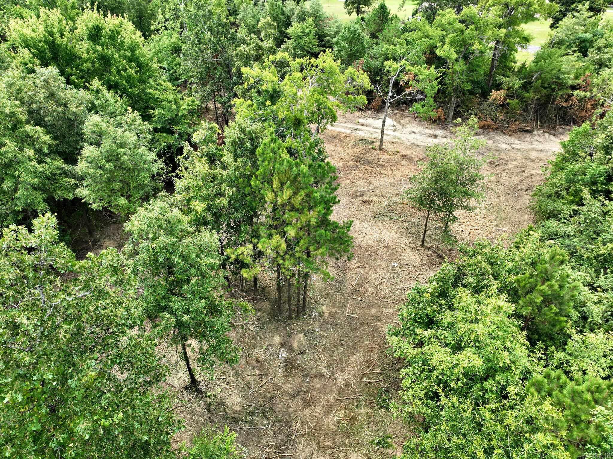 Tbd West Boundary Property Photo 4
