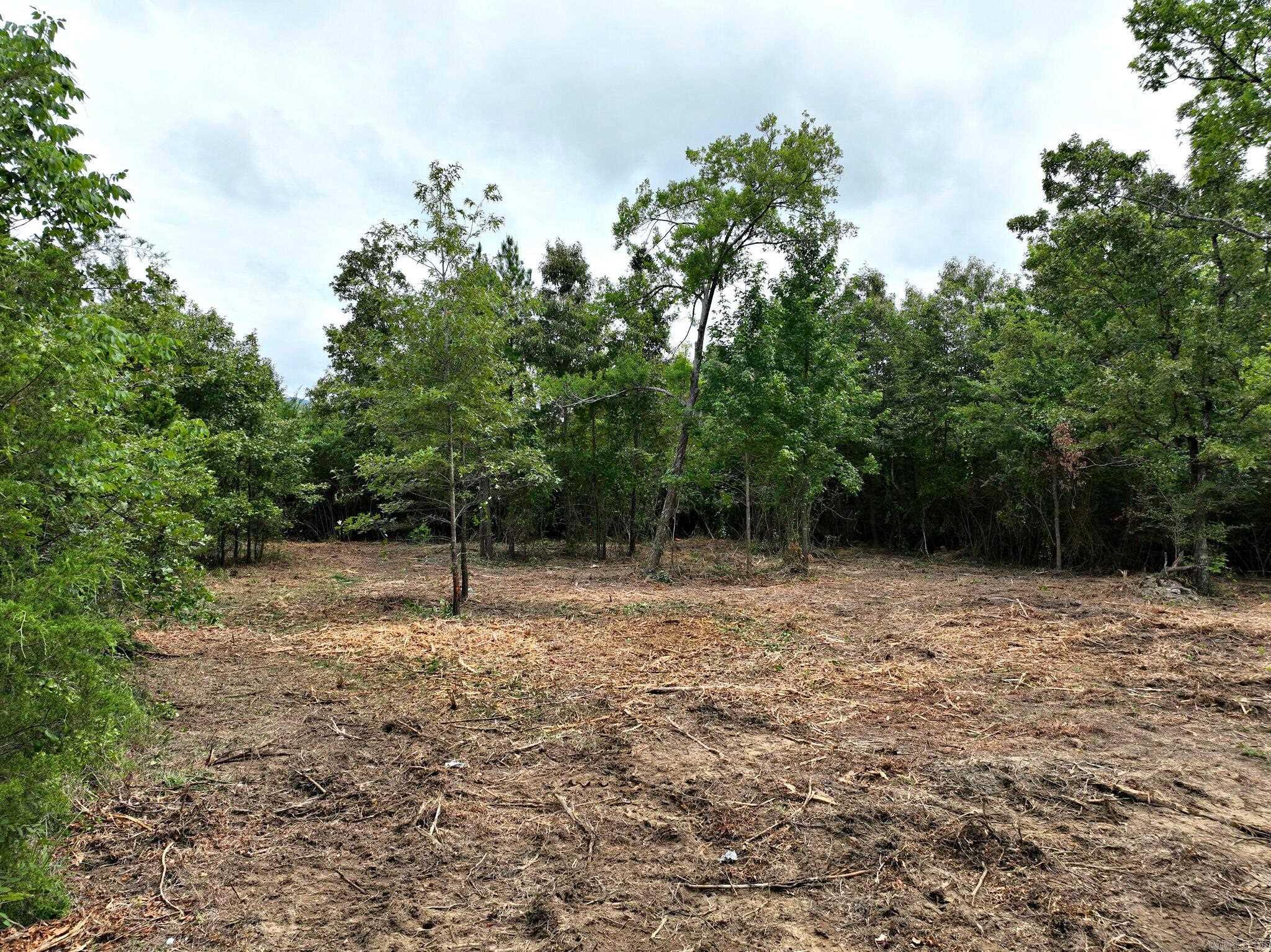 Tbd West Boundary Property Photo 5