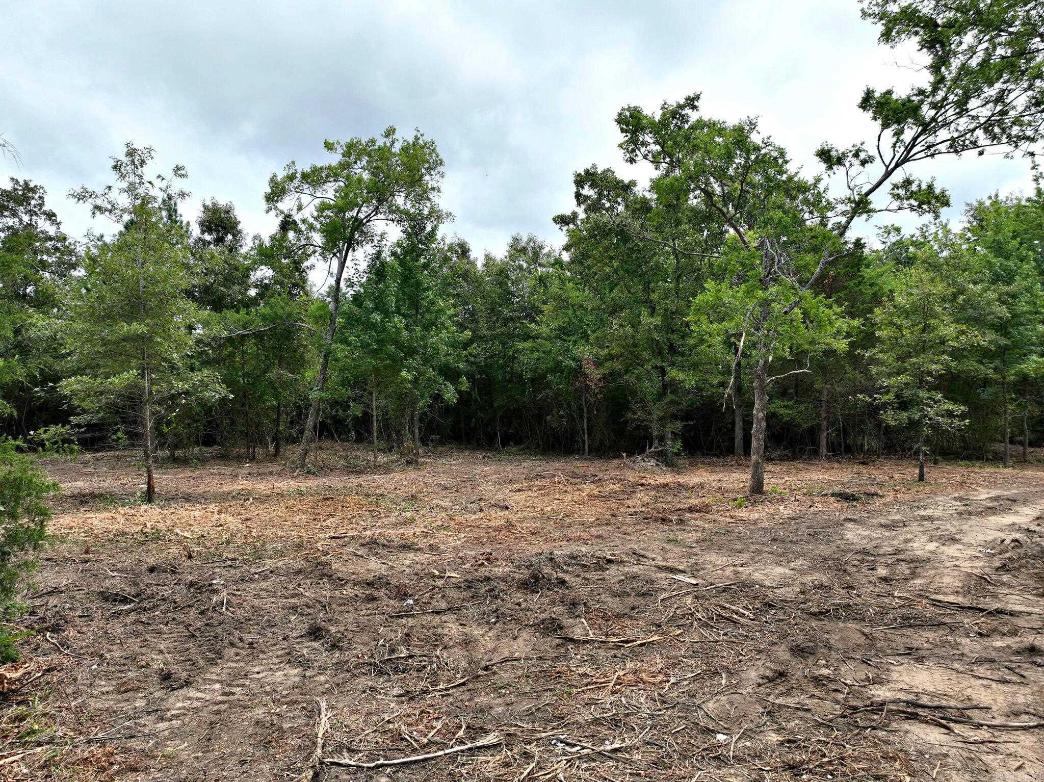 Tbd West Boundary Property Photo 6