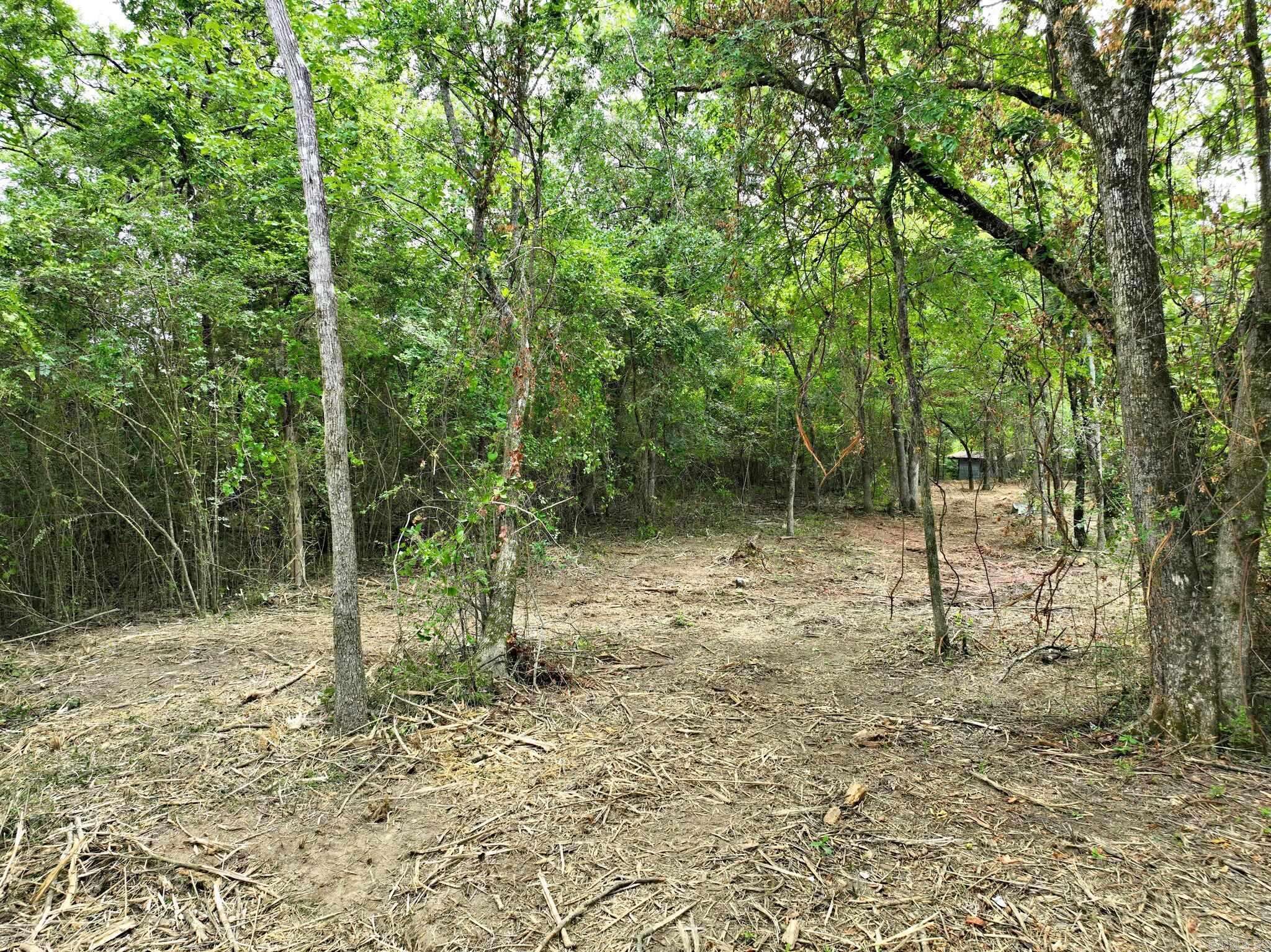 Tbd West Boundary Property Photo 7