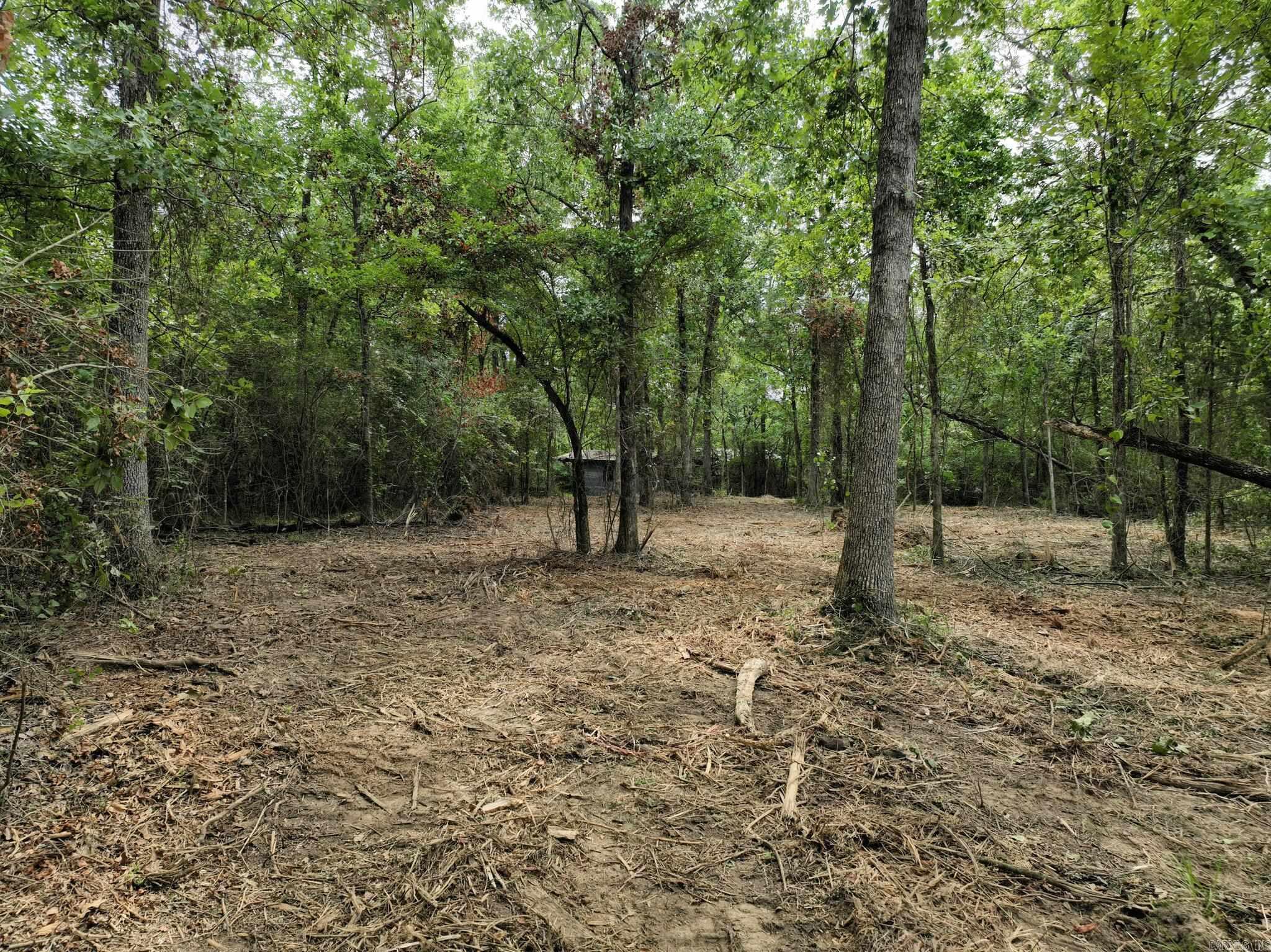 Tbd West Boundary Property Photo 8