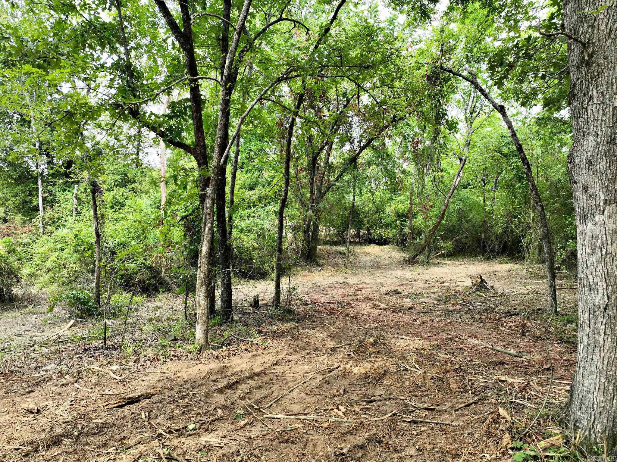 Tbd West Boundary Property Photo 9