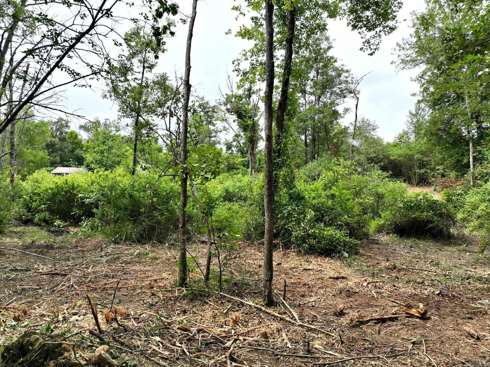 Tbd West Boundary Property Photo 10