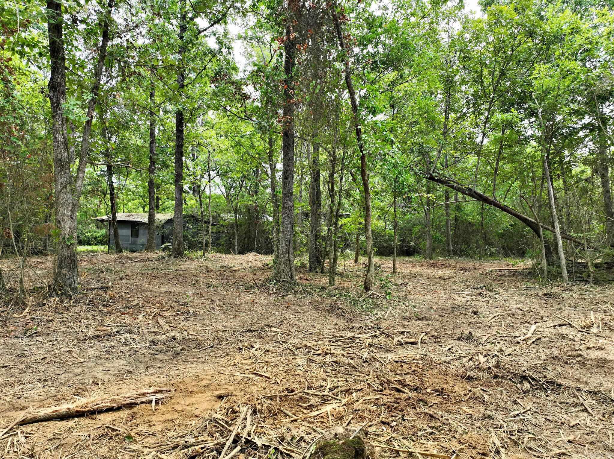 Tbd West Boundary Property Photo 11