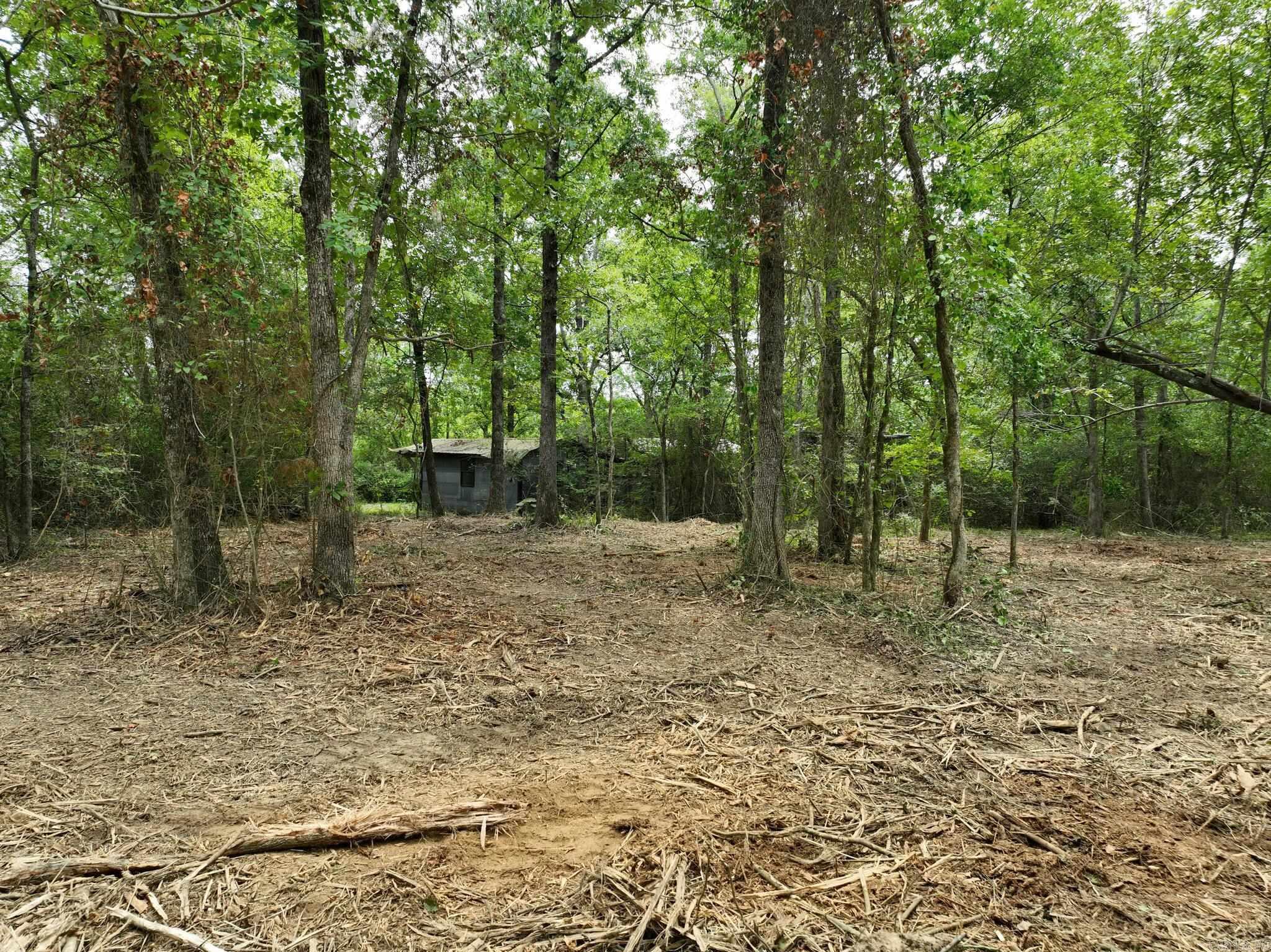 Tbd West Boundary Property Photo 12
