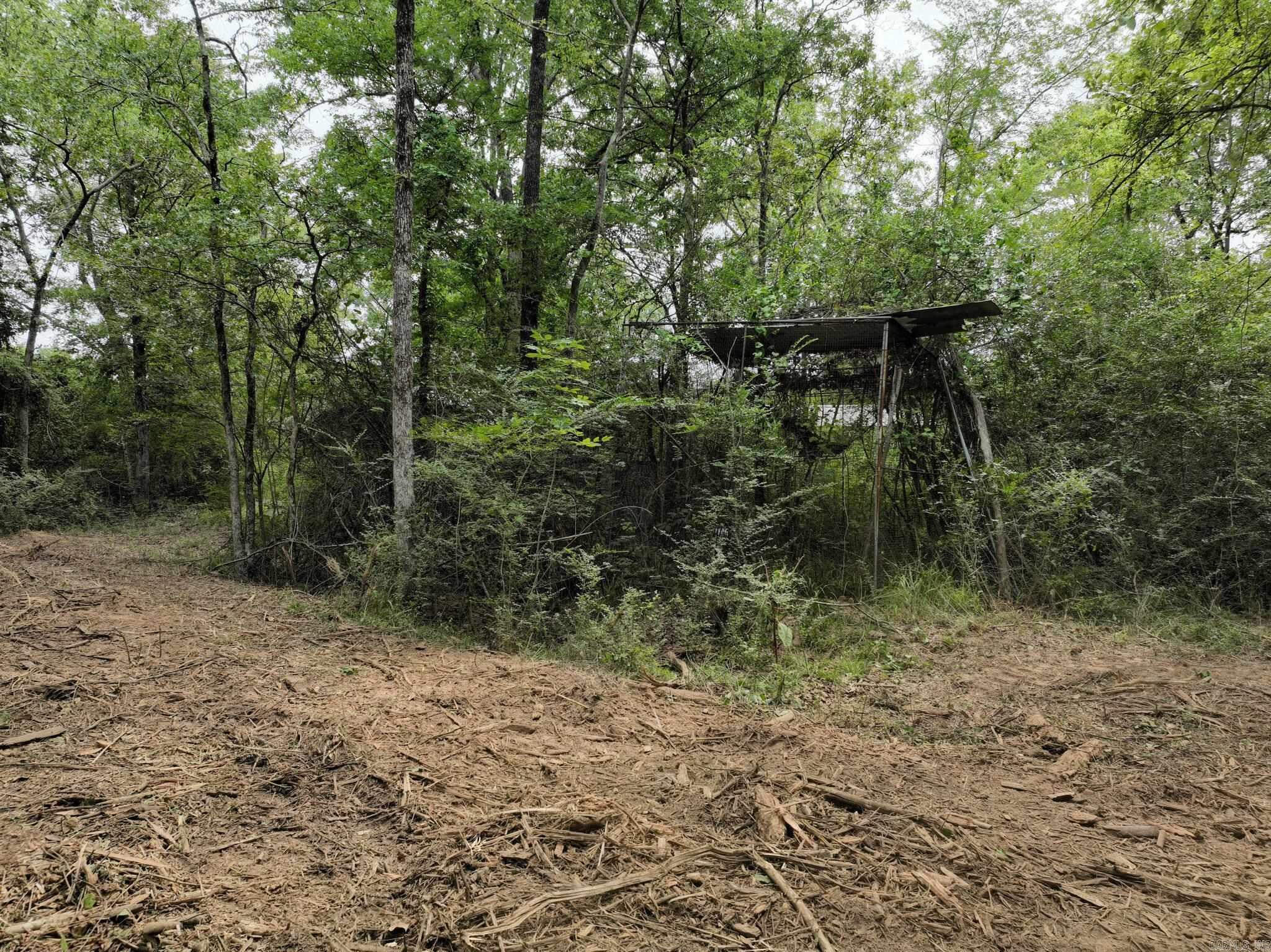 Tbd West Boundary Property Photo 13