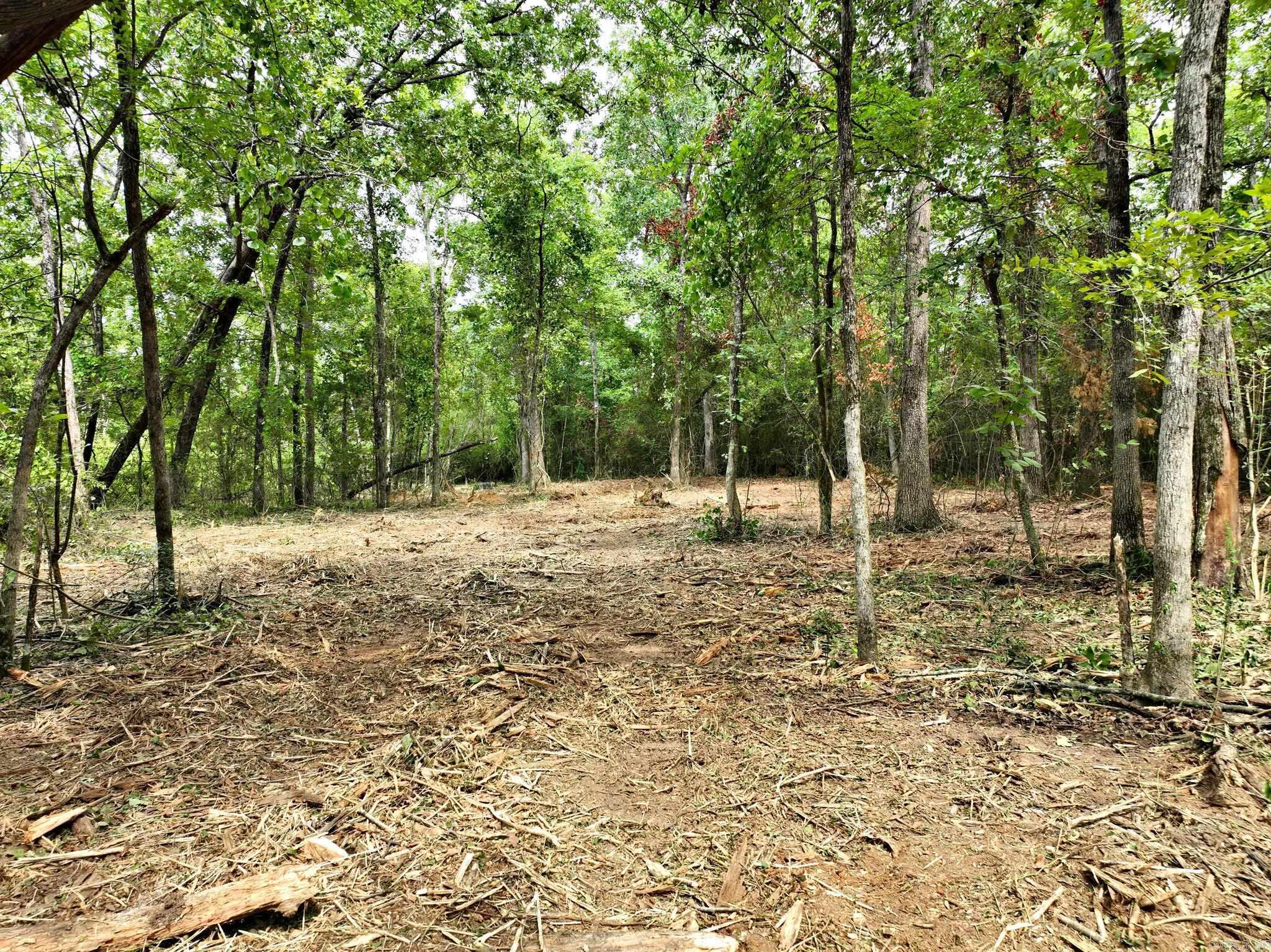 Tbd West Boundary Property Photo 14
