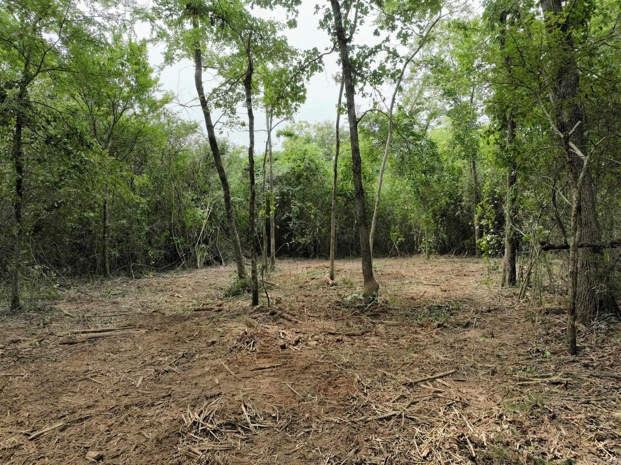 Tbd West Boundary Property Photo 15