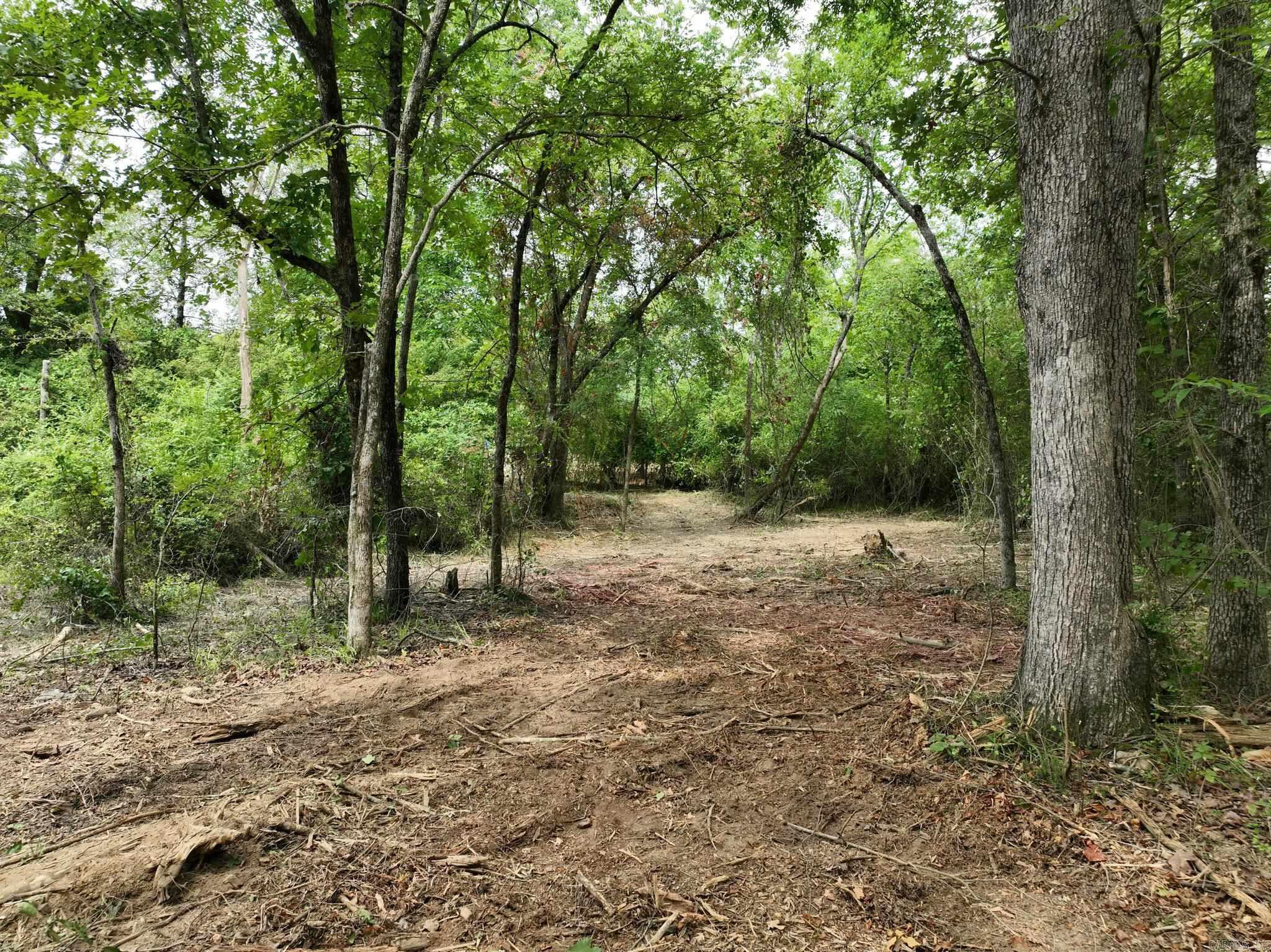 Tbd West Boundary Property Photo 16