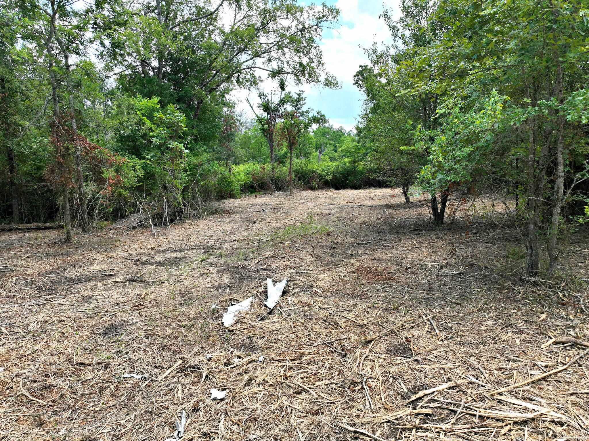 Tbd West Boundary Property Photo 24