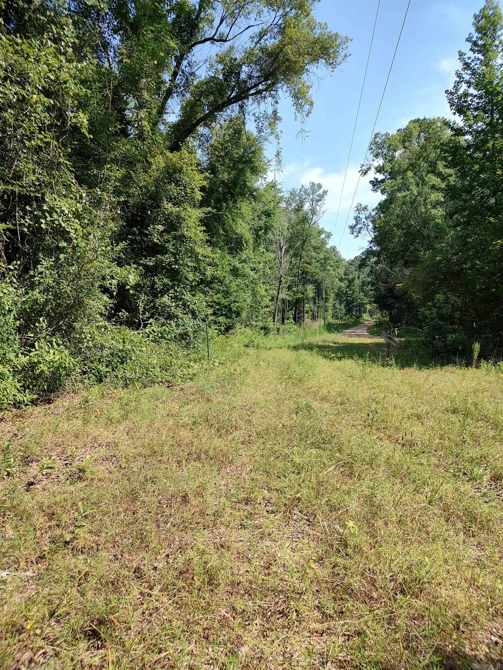 80 Acres Calhoun 199 Road Property Photo 1