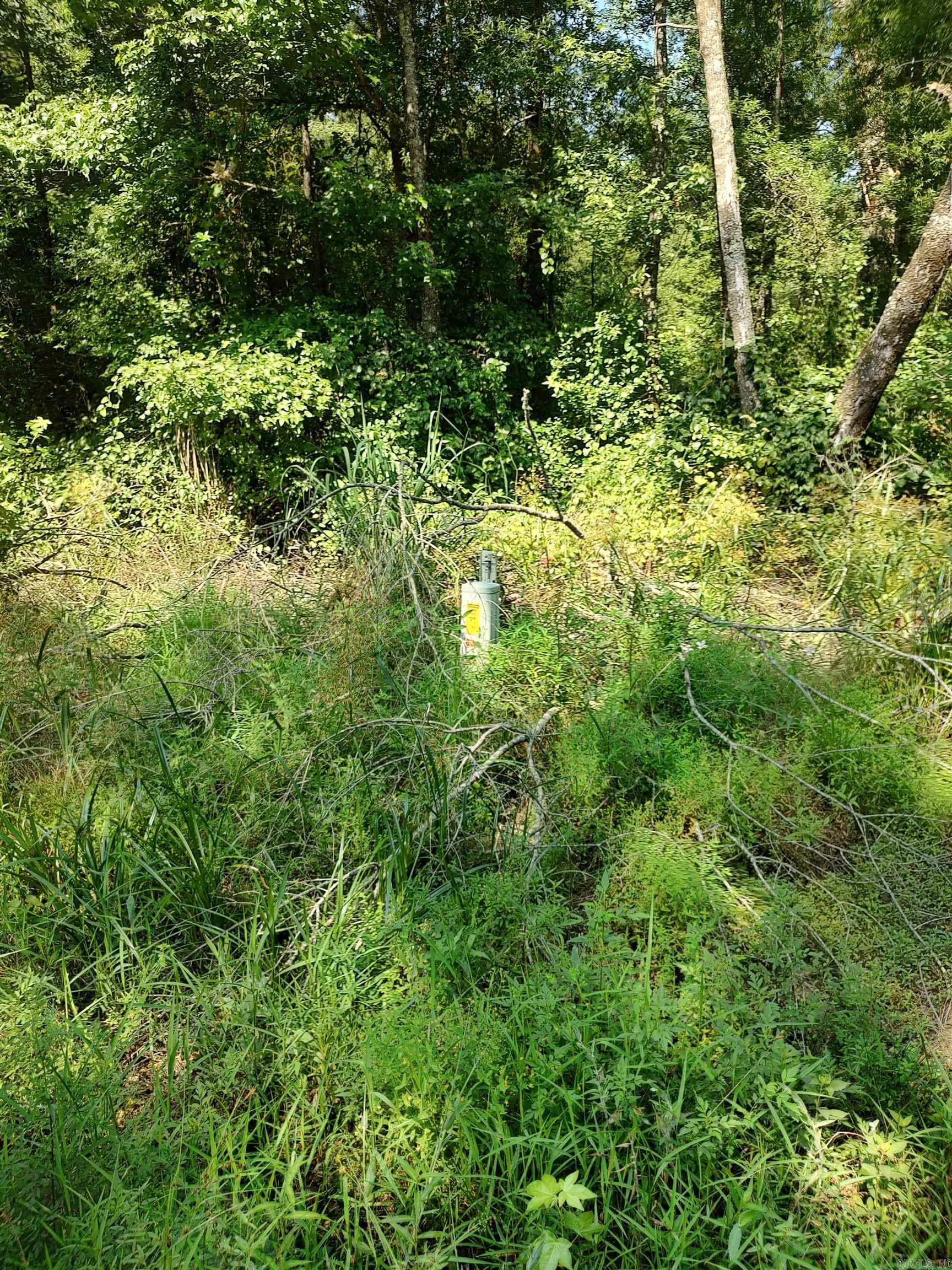 80 Acres Calhoun 199 Road Property Photo 2