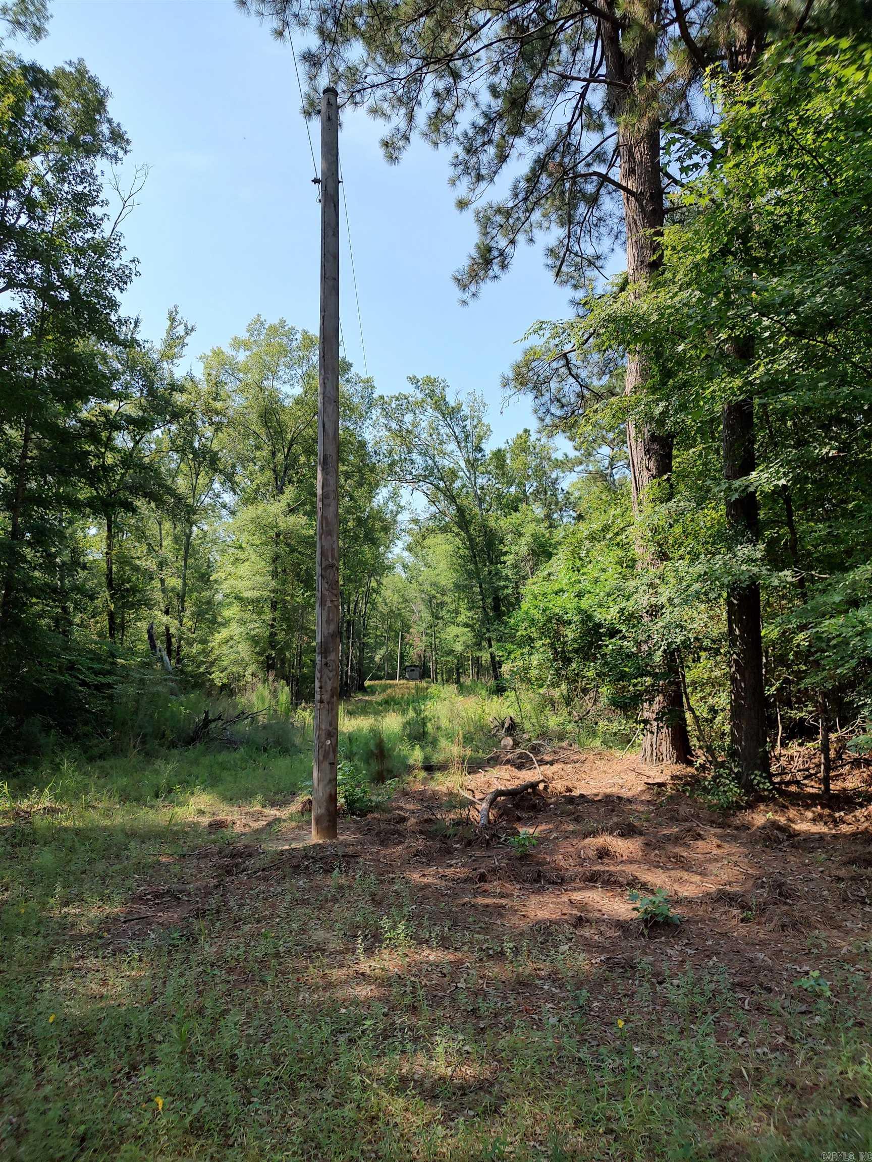 80 Acres Calhoun 199 Road Property Photo 6