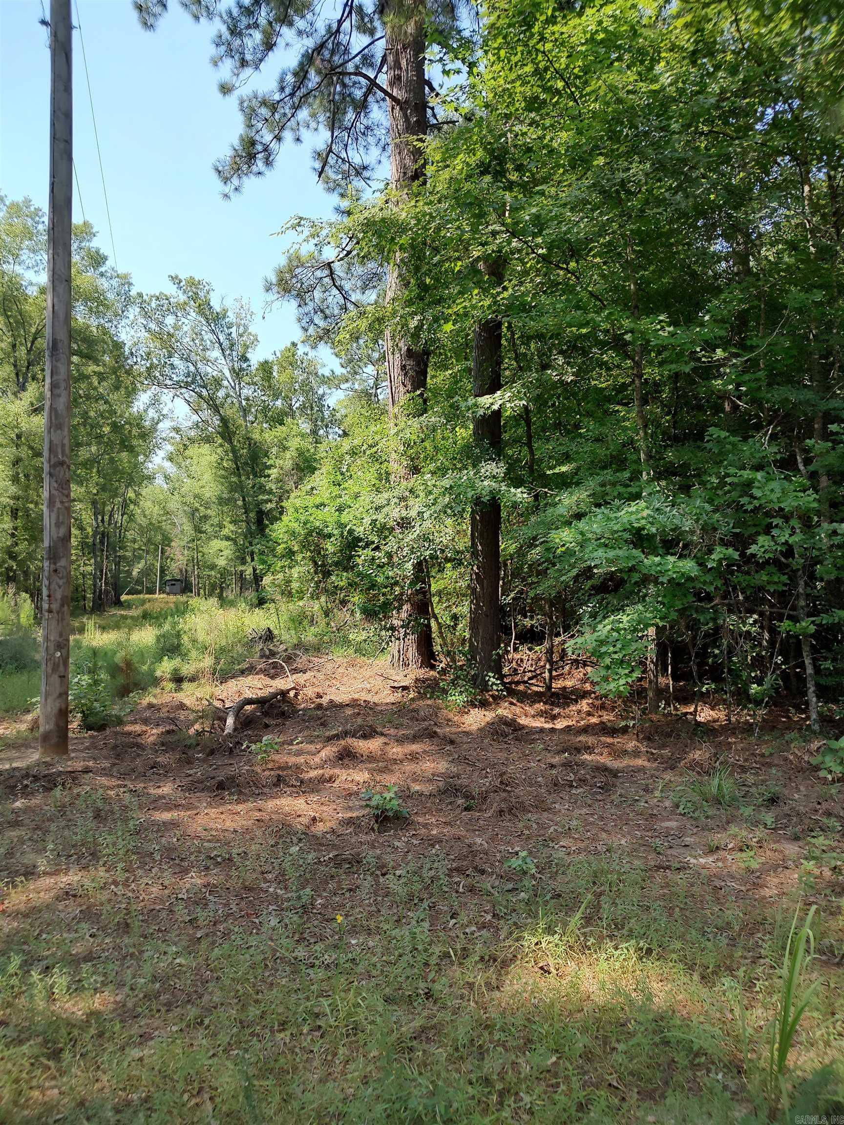 80 Acres Calhoun 199 Road Property Photo 8