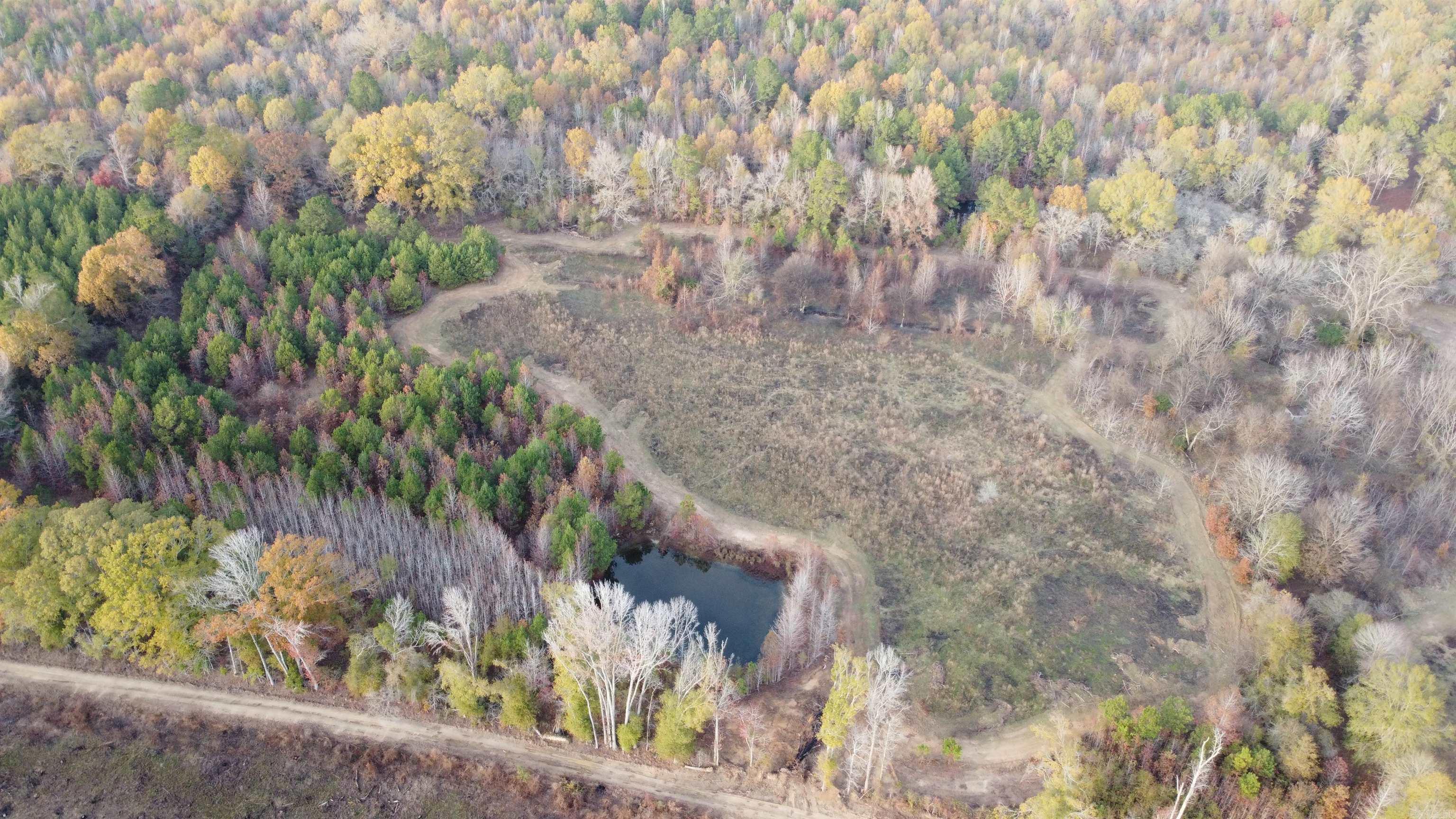 80 Acres Calhoun 199 Road Property Photo 9