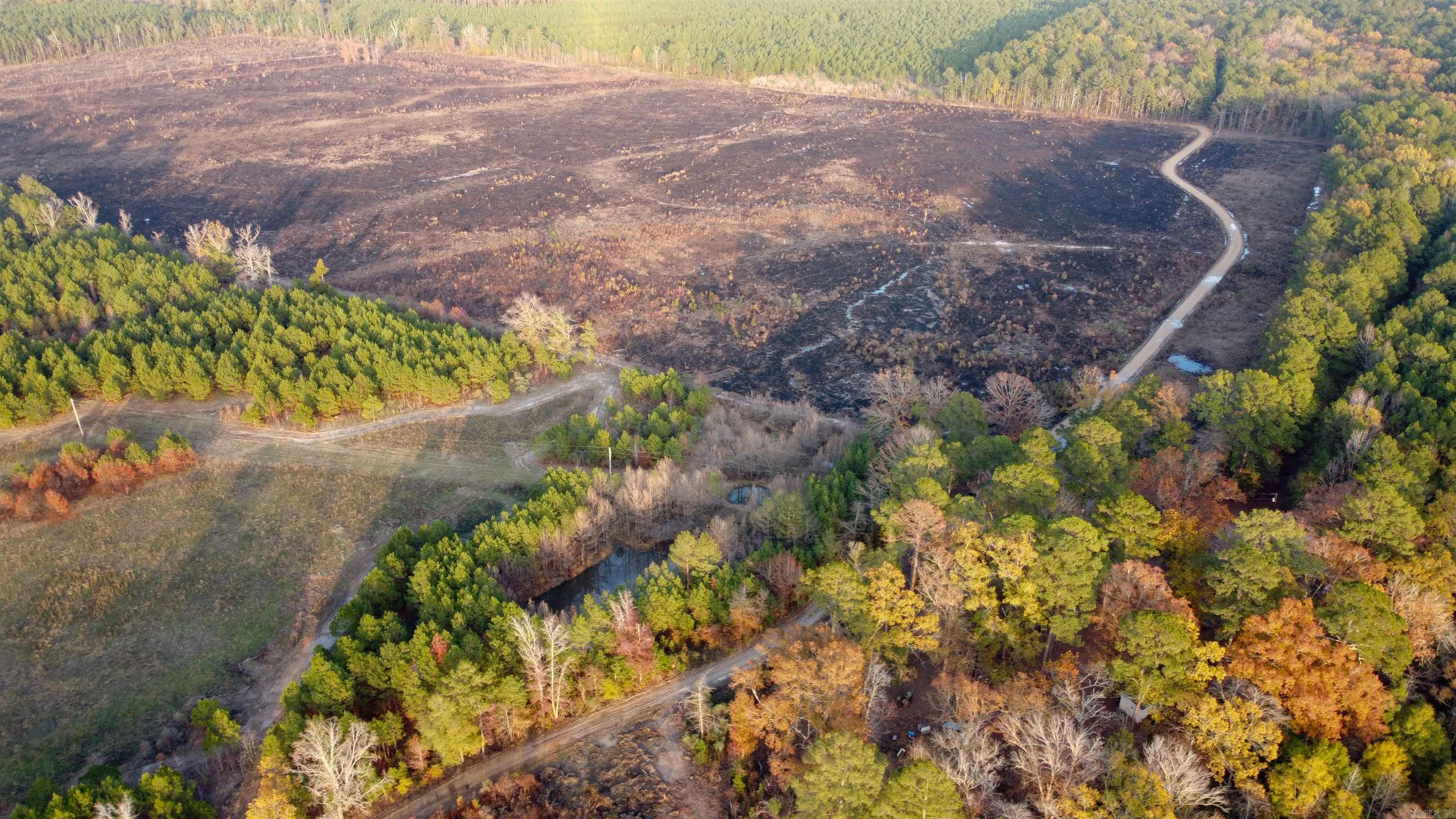 80 Acres Calhoun 199 Road Property Photo 10