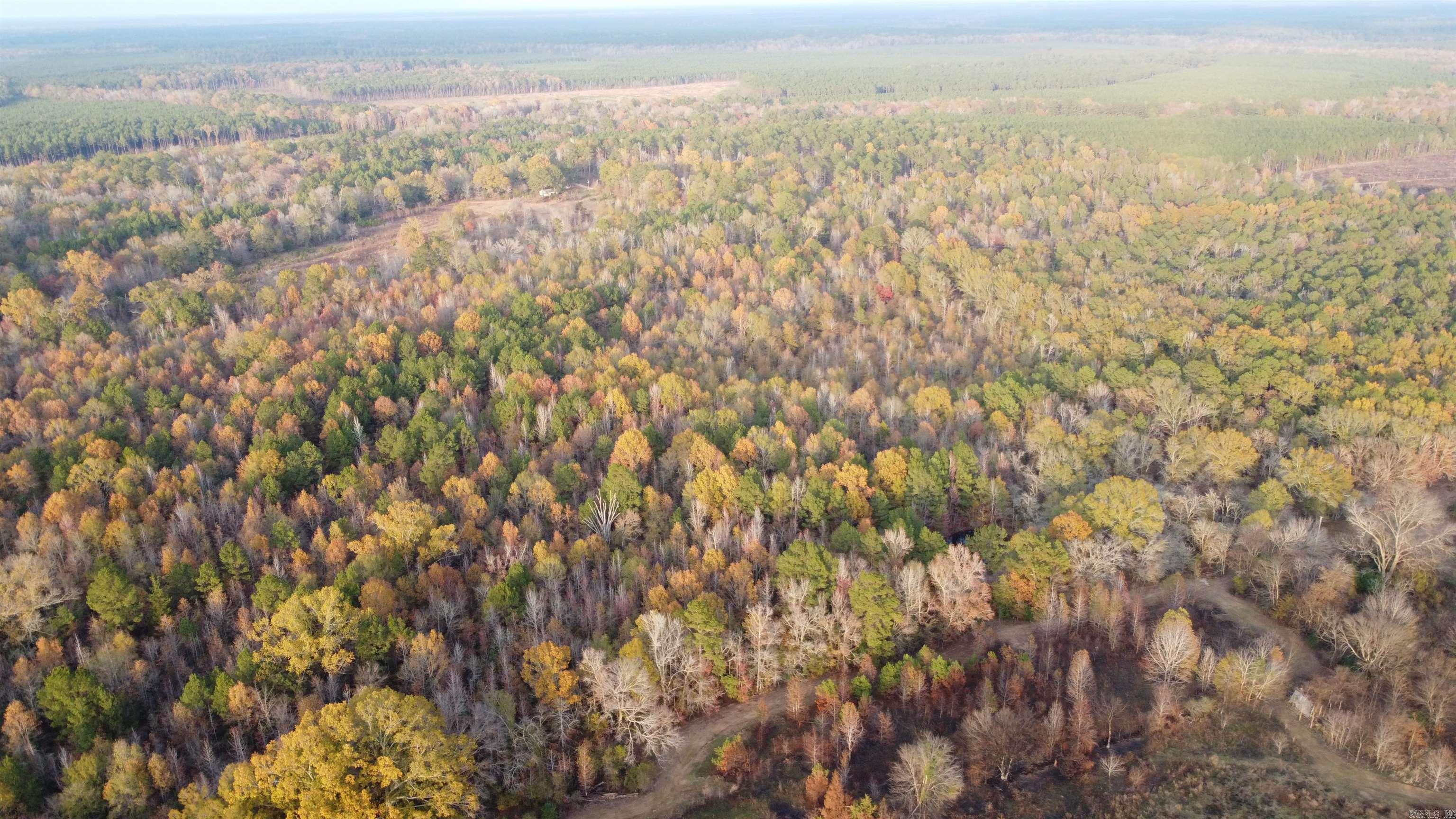 80 Acres Calhoun 199 Road Property Photo 11