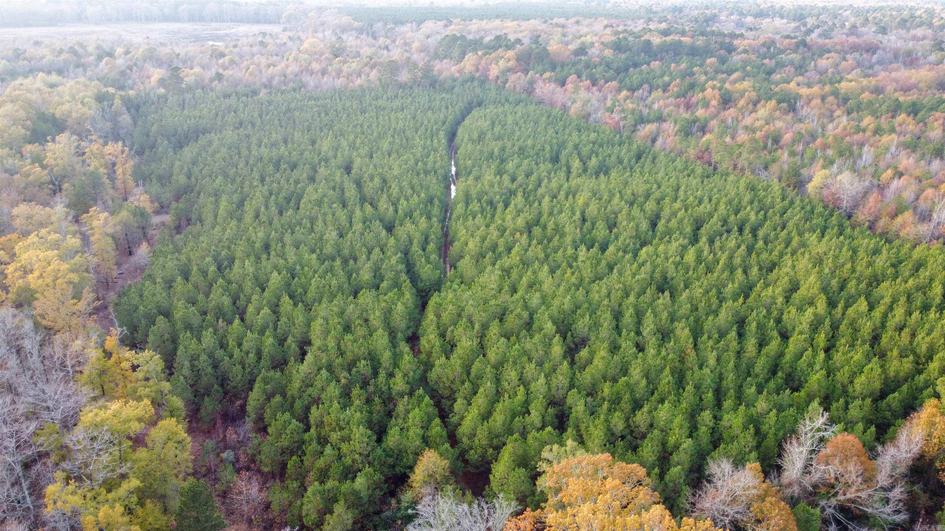 80 Acres Calhoun 199 Road Property Photo 12