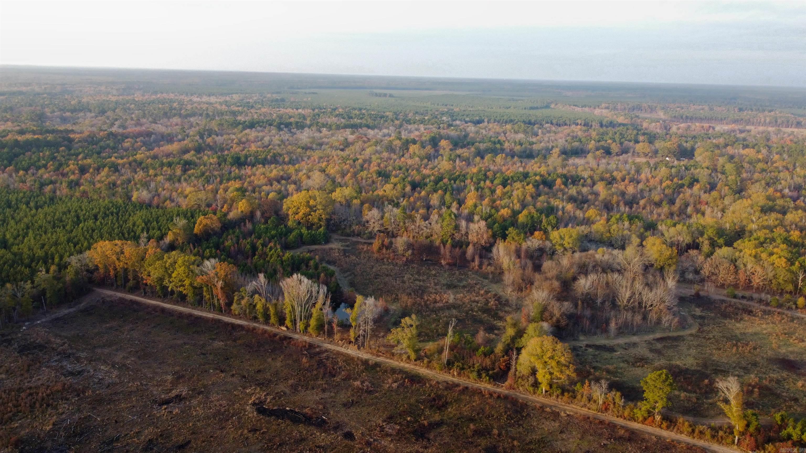 80 Acres Calhoun 199 Road Property Photo 13