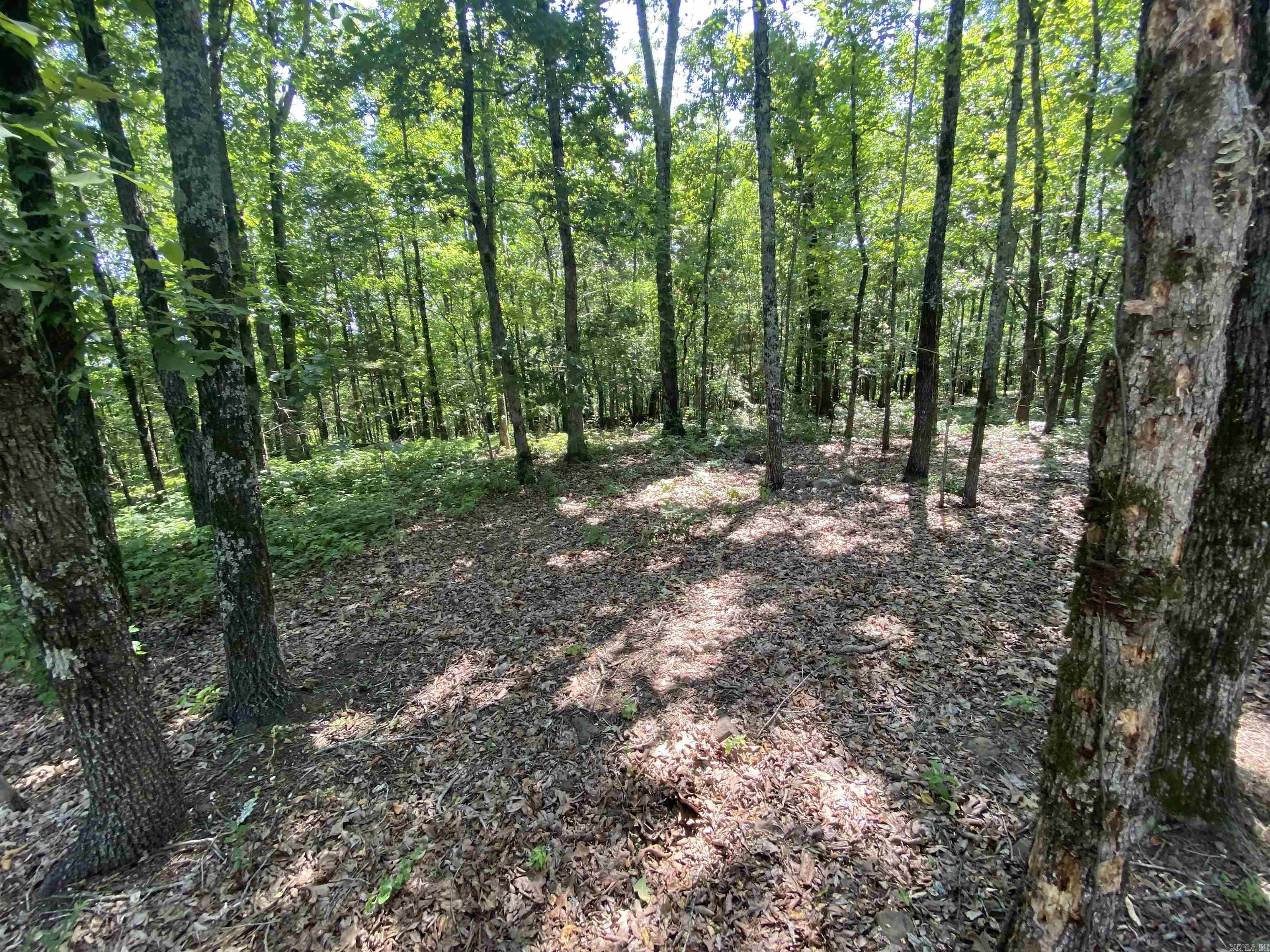 Lots 7, 8, & 9 Brown Road Property Photo 8