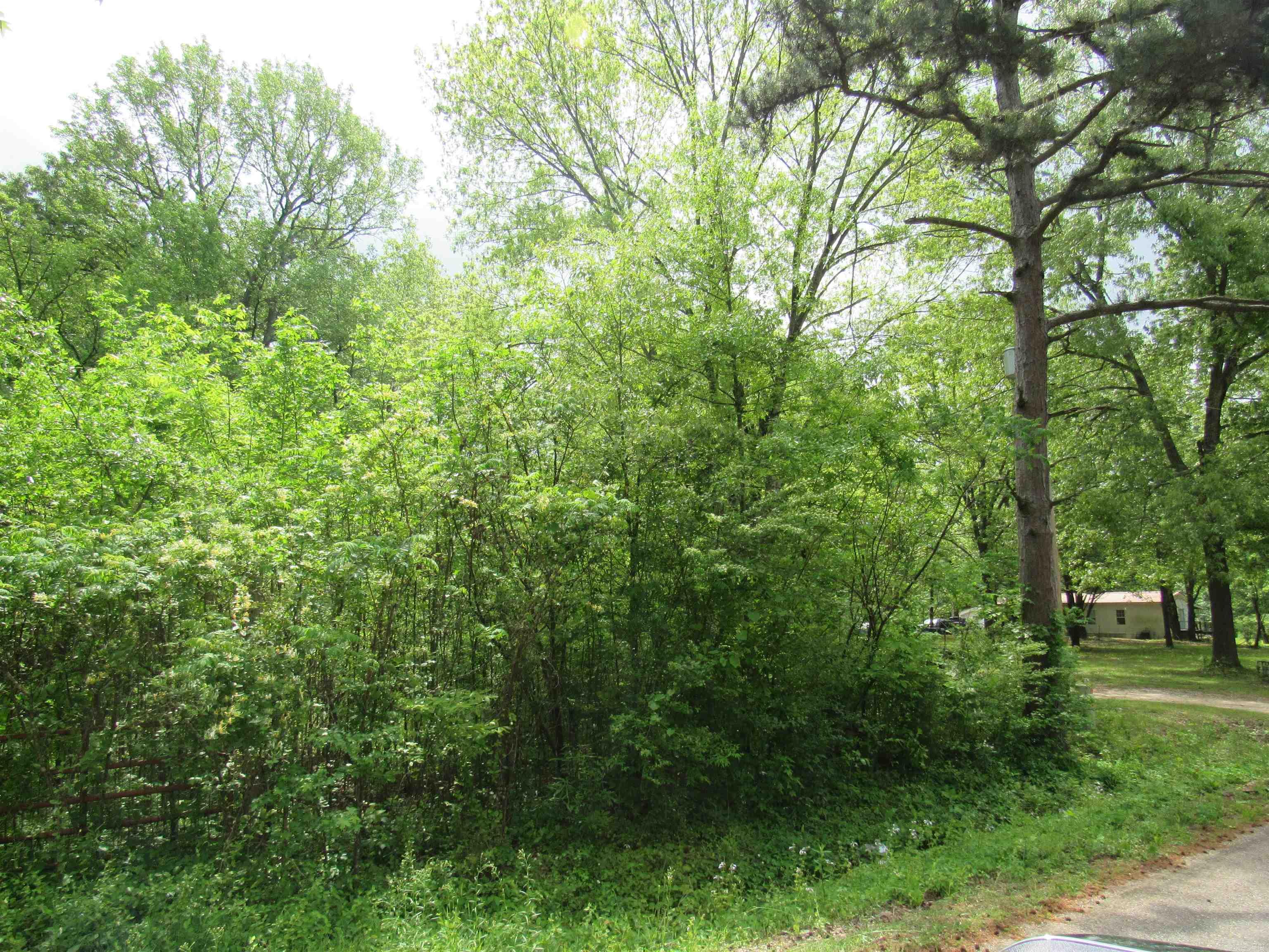 476 Delta Cir Property Photo 17