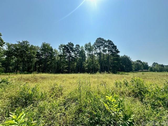 000 Hwy 104 Tract C Property Photo 1