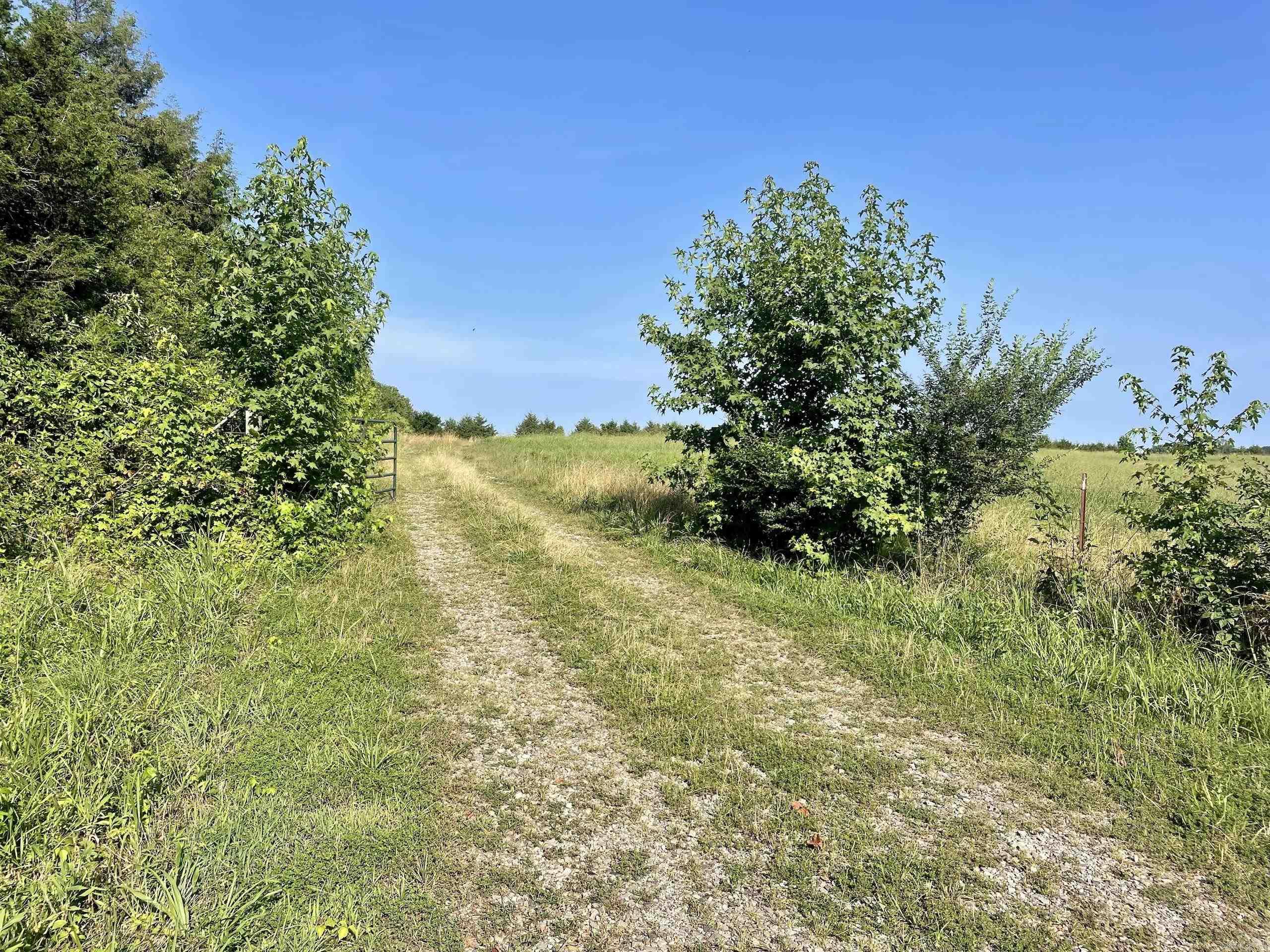 000 Holleman Road Property Photo 15