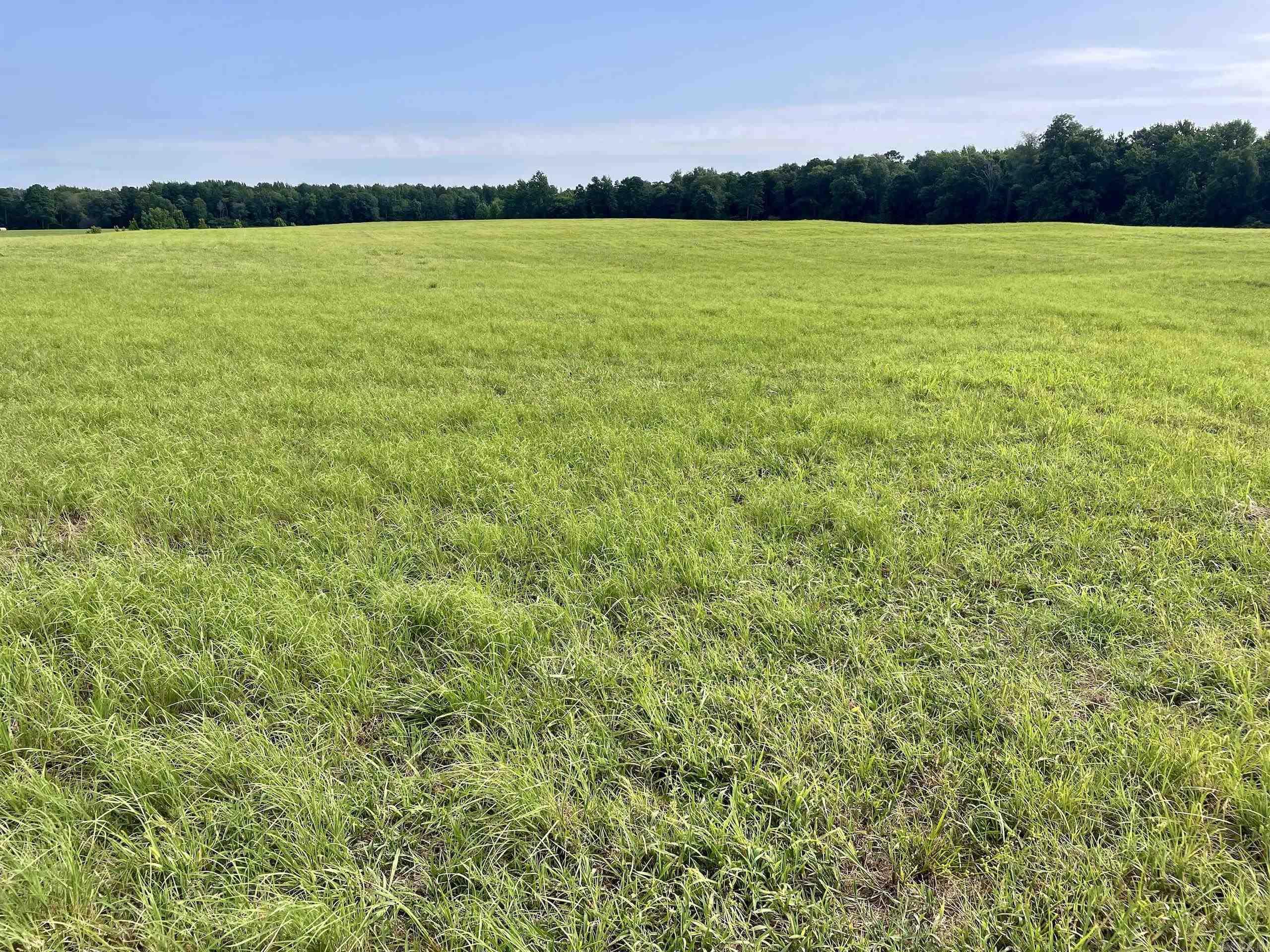 000 Holleman Road Property Photo 39