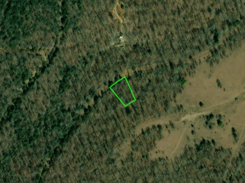 804 W Forest Hills Circle Property Photo 1