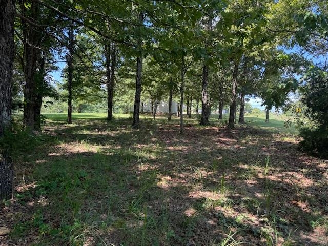 877 Highway 63 Property Photo 19