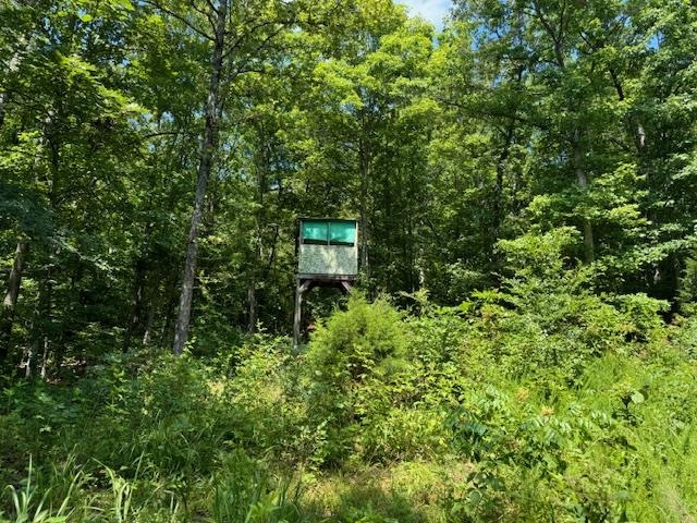 877 Highway 63 Property Photo 20