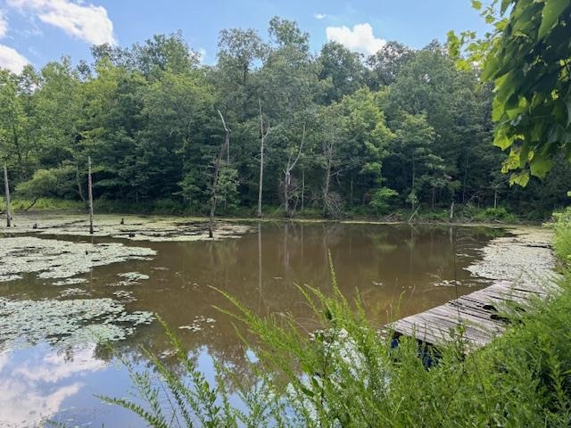 877 Highway 63 Property Photo 22
