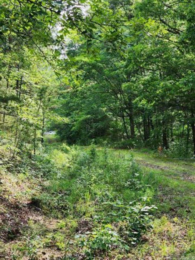 0 Owen Property Photo 1