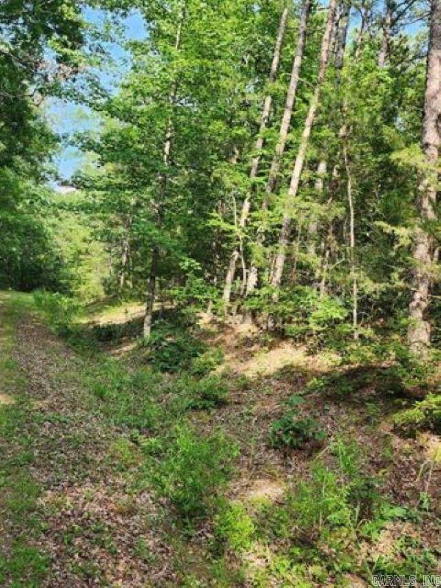 0 Owen Property Photo 2