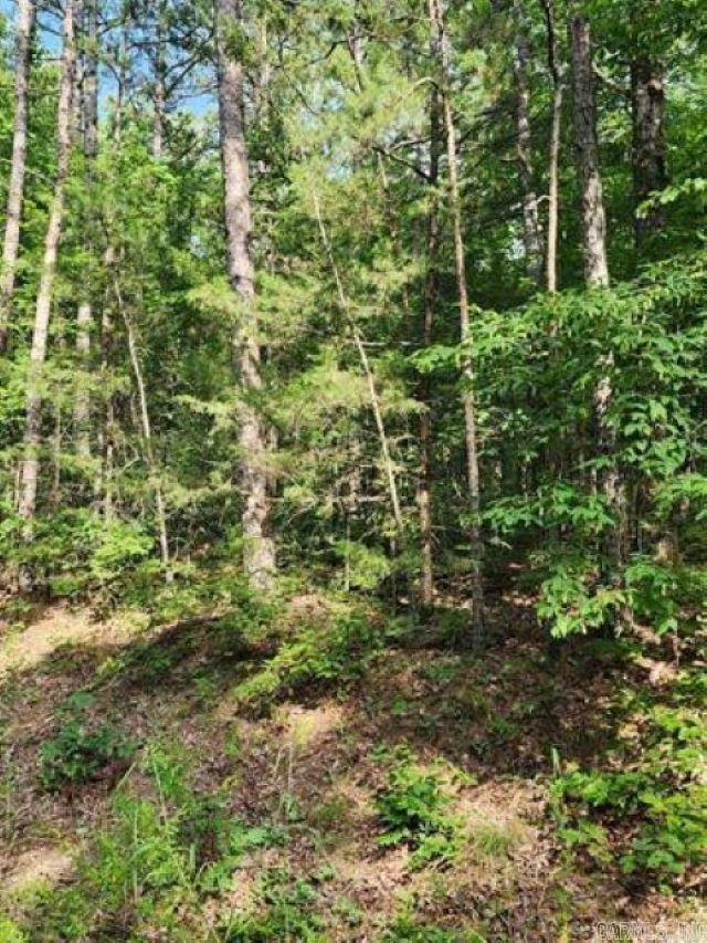 0 Owen Property Photo 8