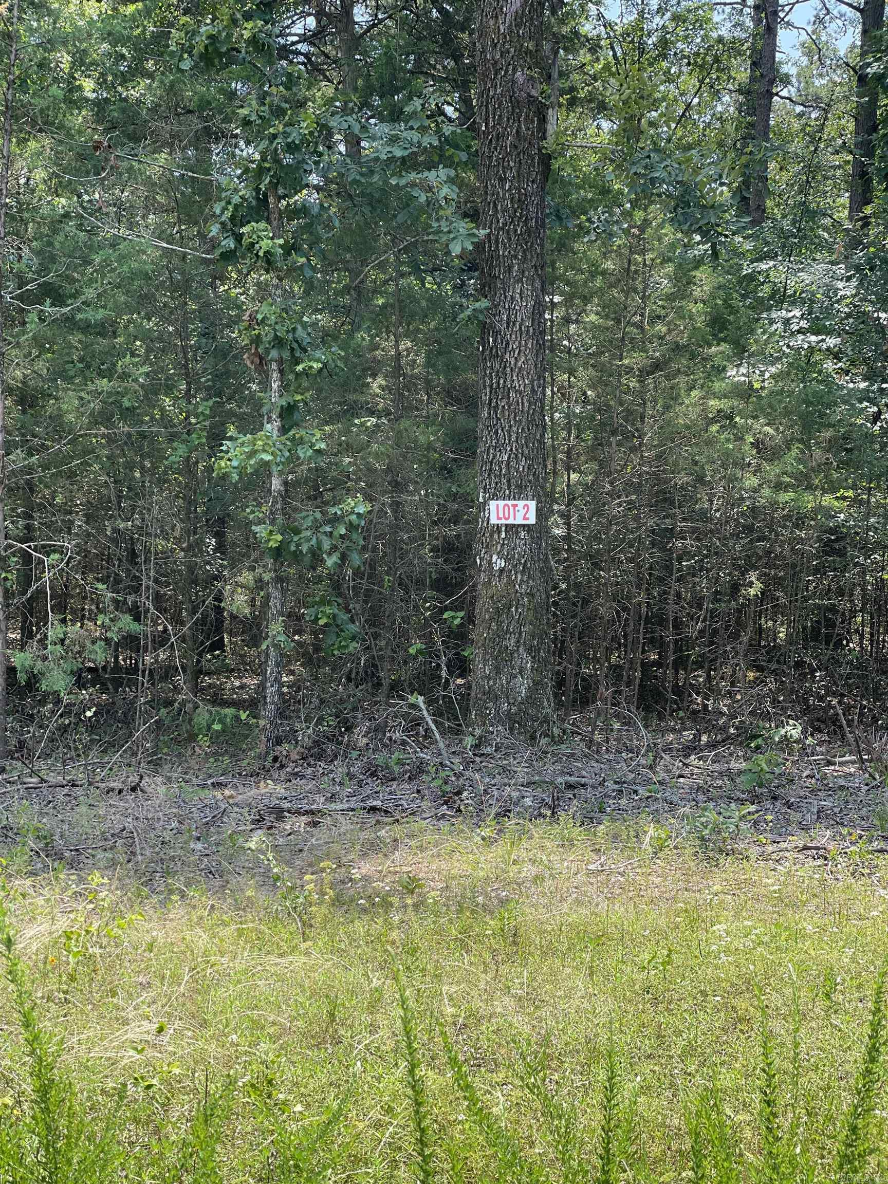 Lot 2 Pleasant Ridge Road Property Photo 1