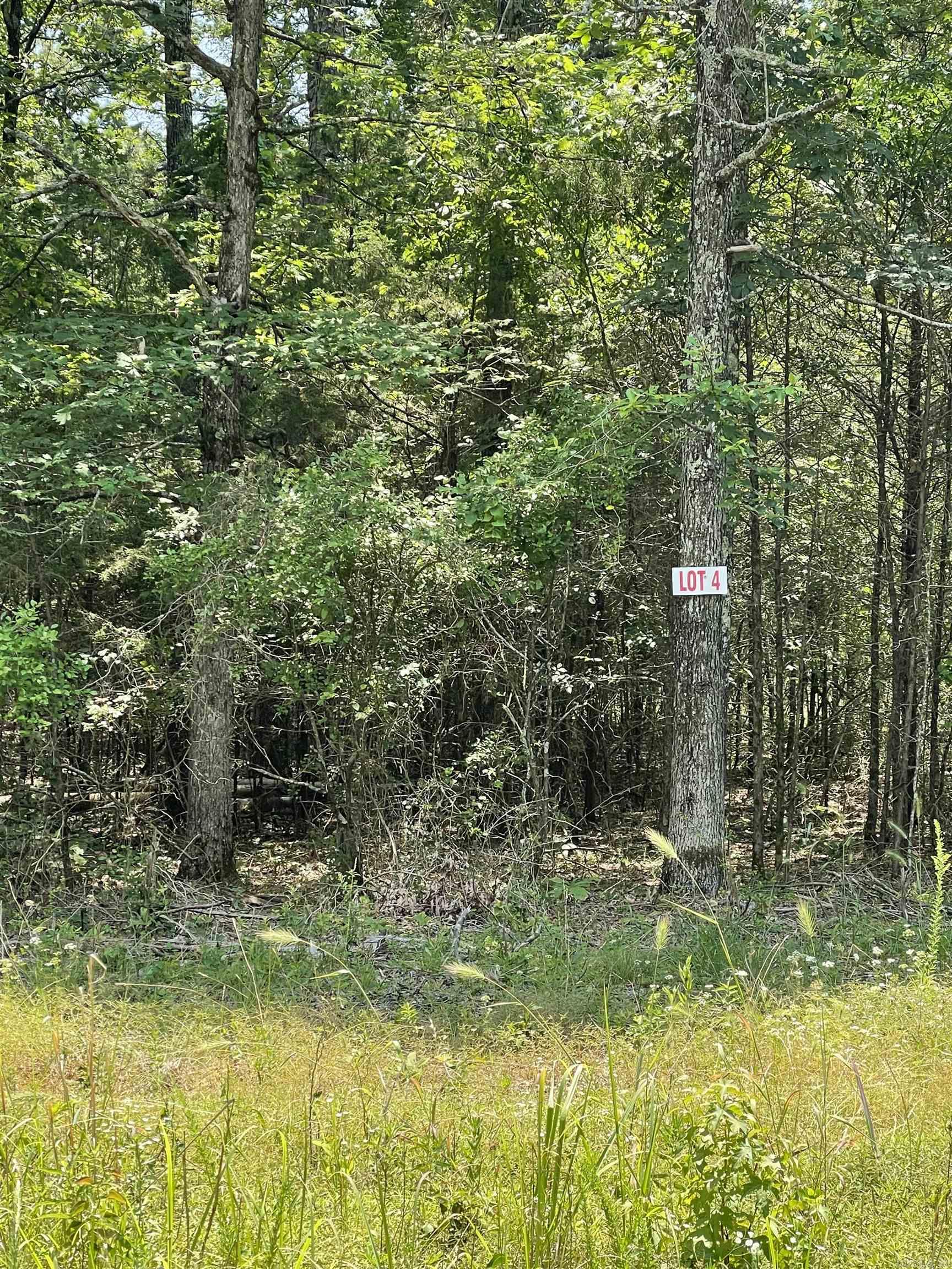Lot 4 Pleasant Ridge Road Property Photo 1