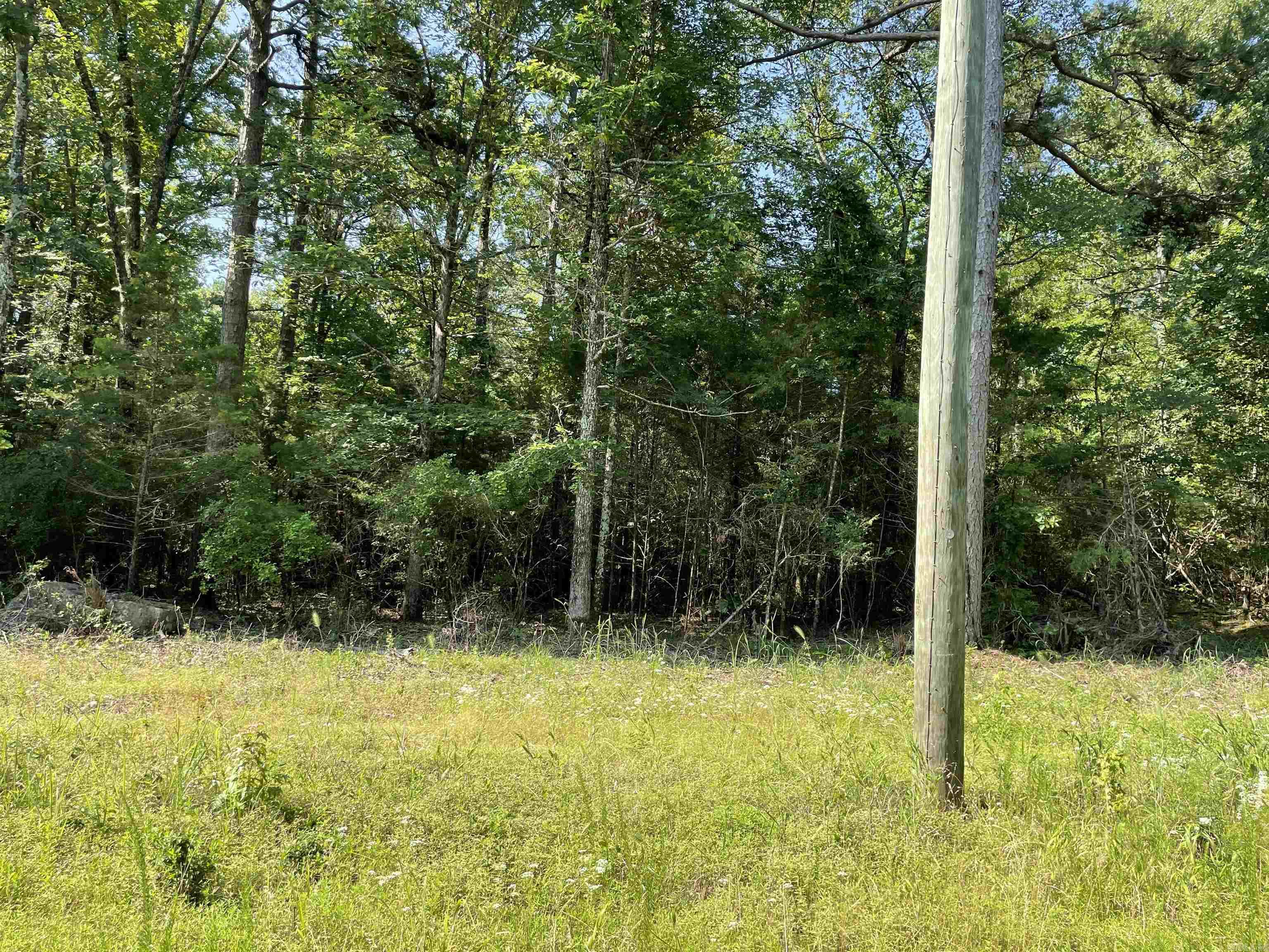 Lot 4 Pleasant Ridge Road Property Photo 7
