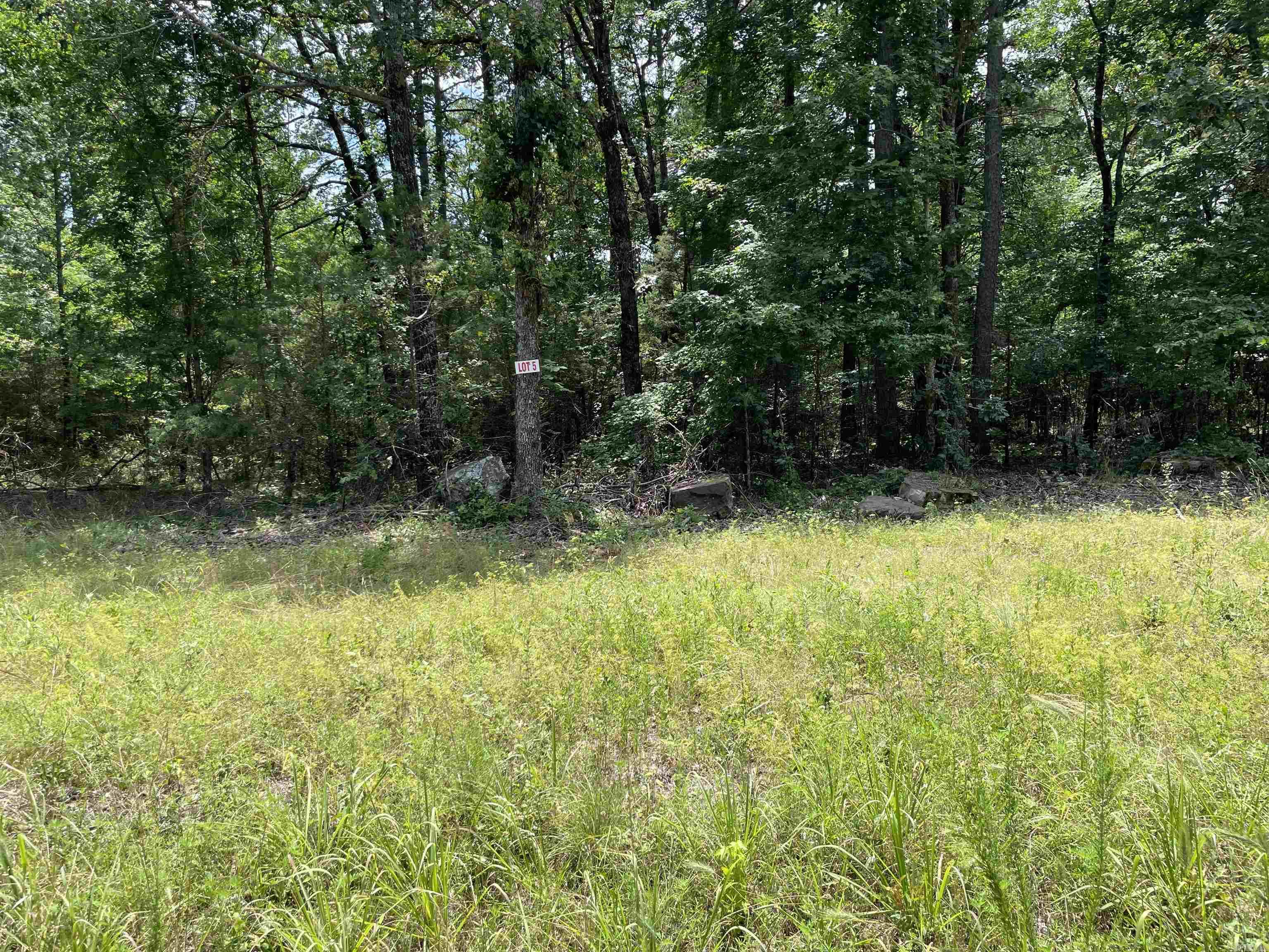 Lot 5 Pleasant Ridge Road Property Photo 1