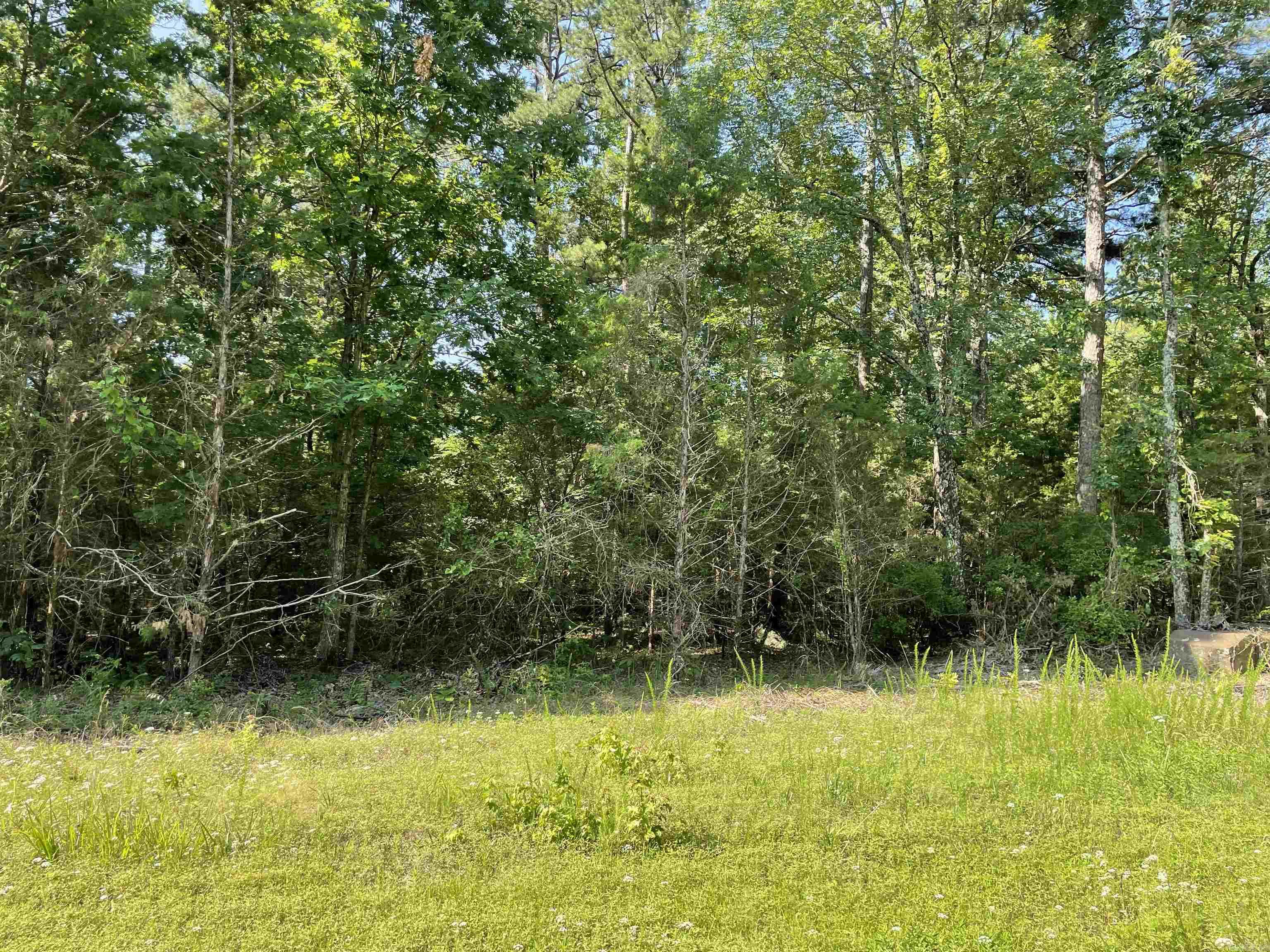 Lot 5 Pleasant Ridge Road Property Photo 2