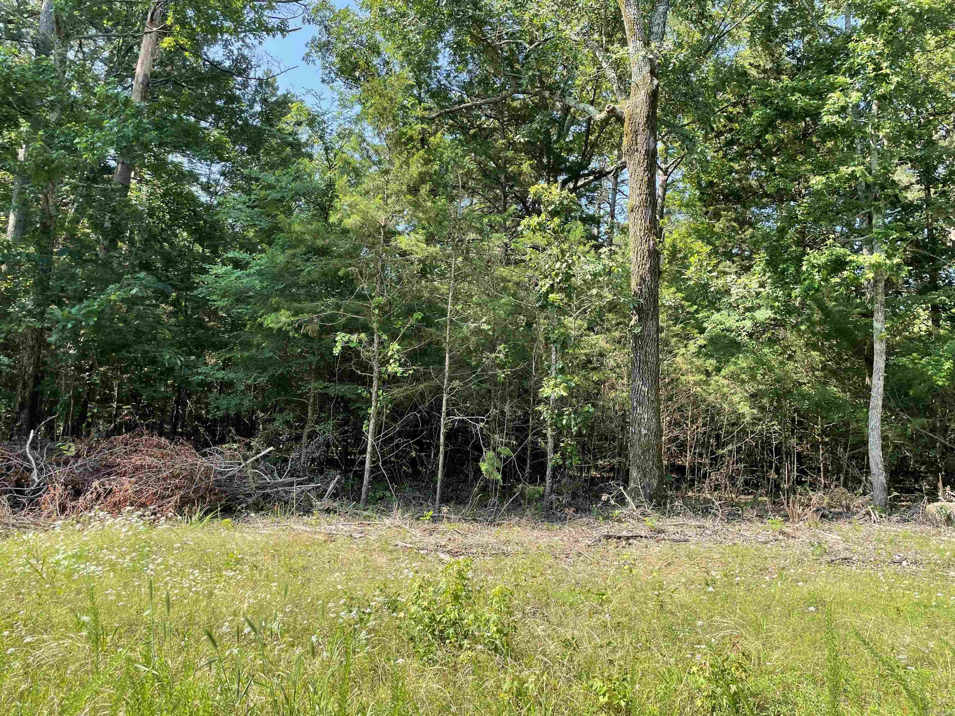 Lot 5 Pleasant Ridge Road Property Photo 3